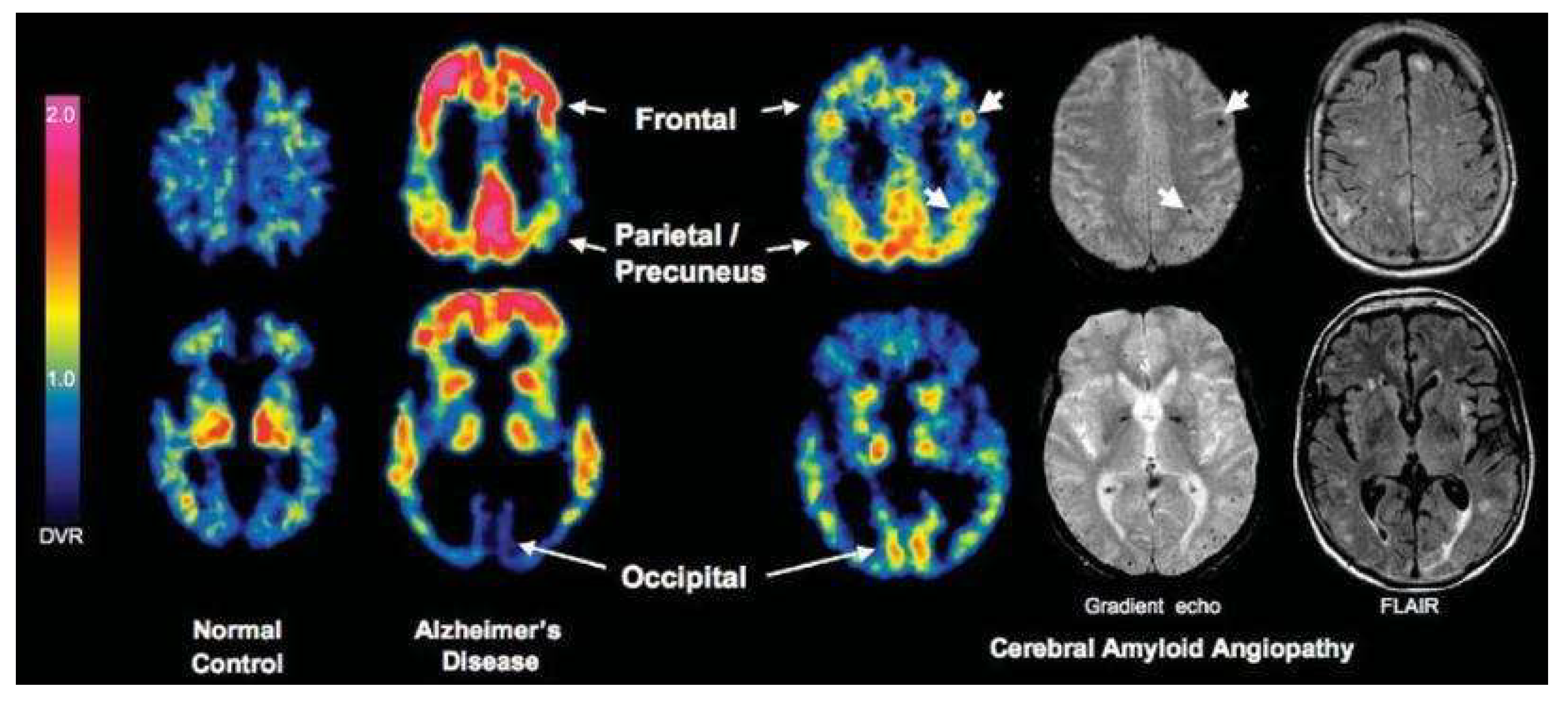 Biomedicines 13 02739 g004