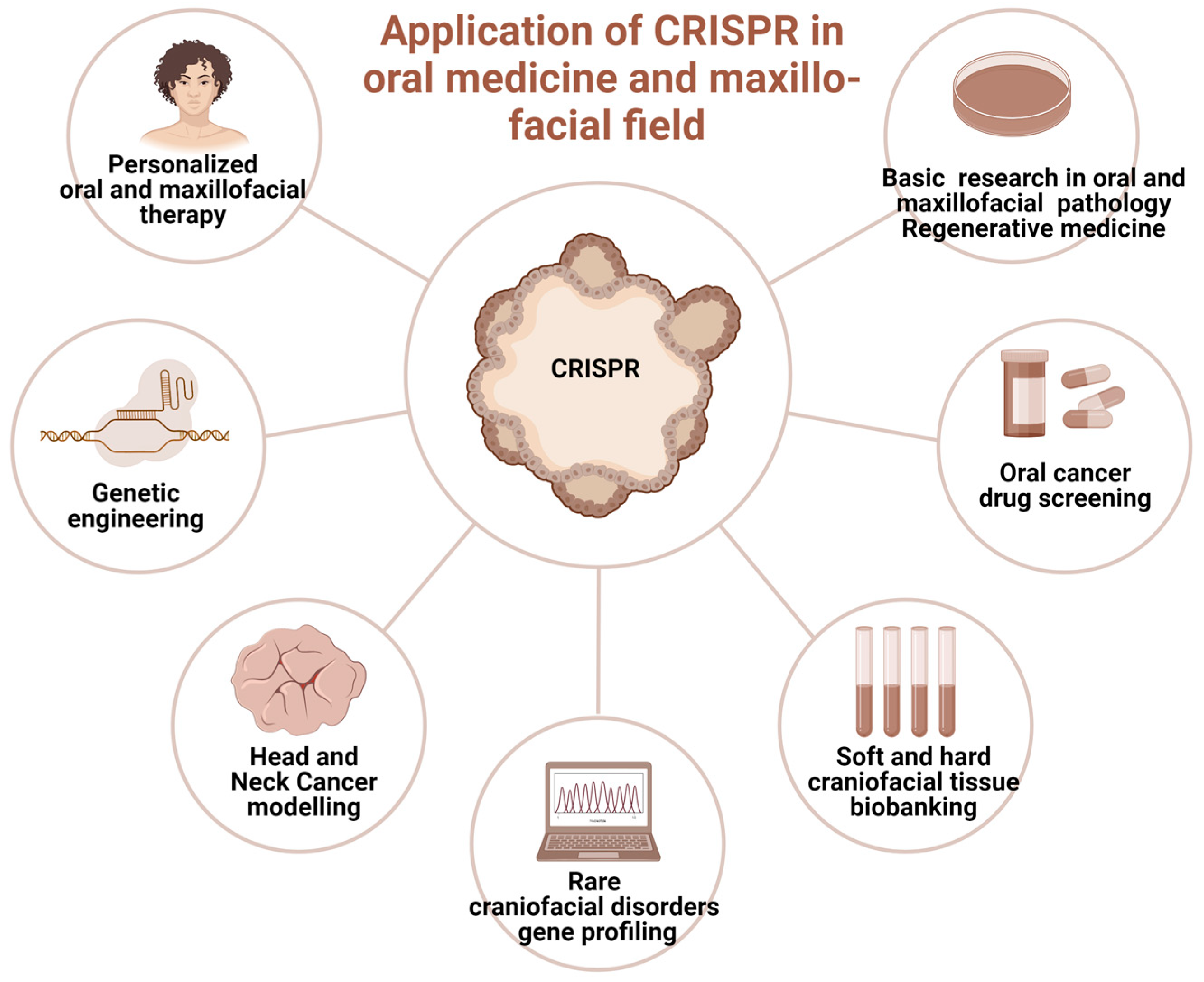 Biomedicines 13 02745 g003
