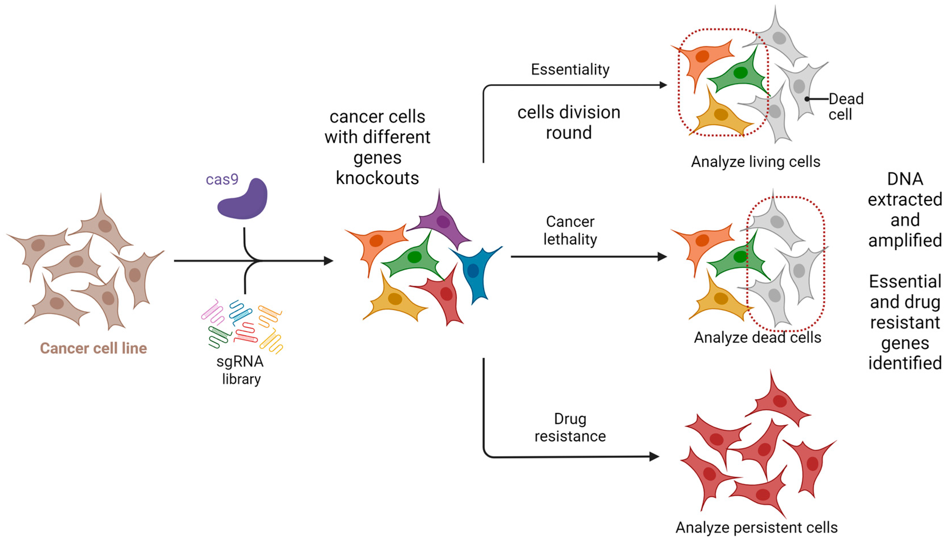 Biomedicines 13 02745 g004