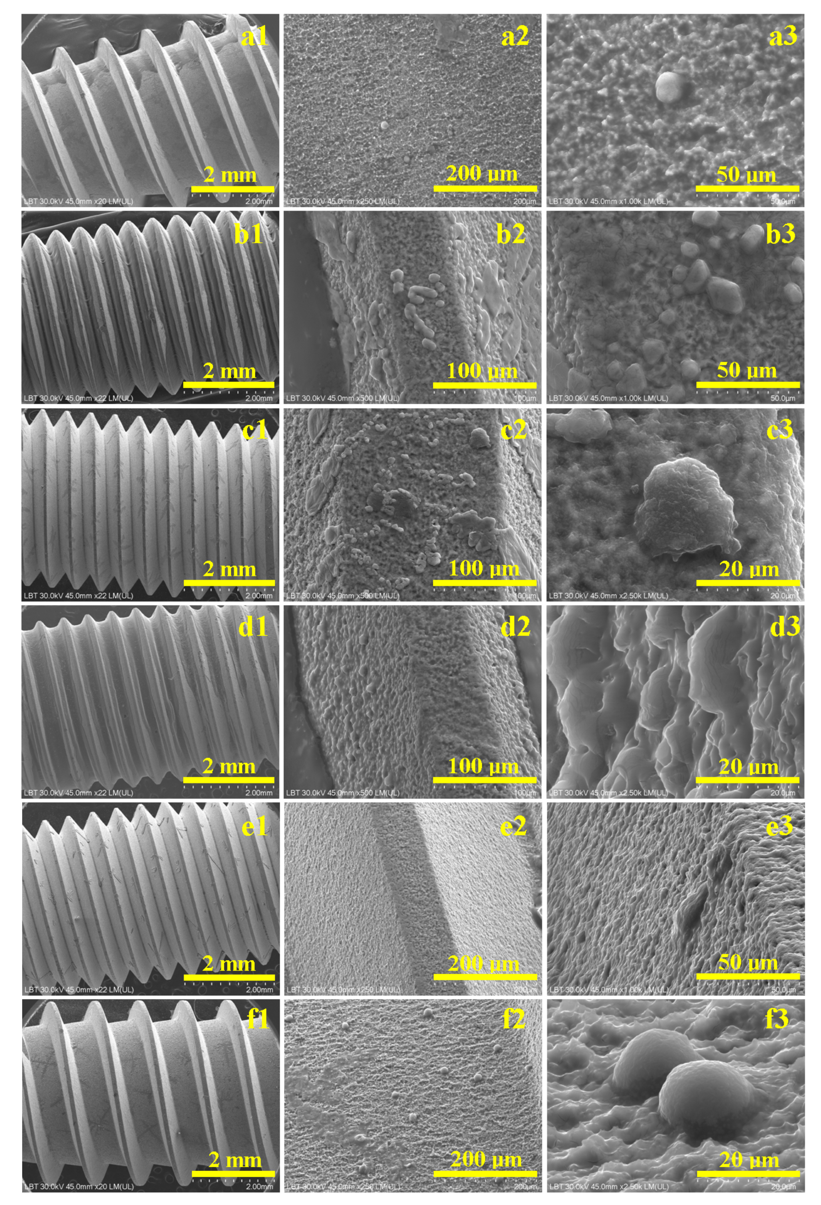 Biomedicines 13 02748 g003