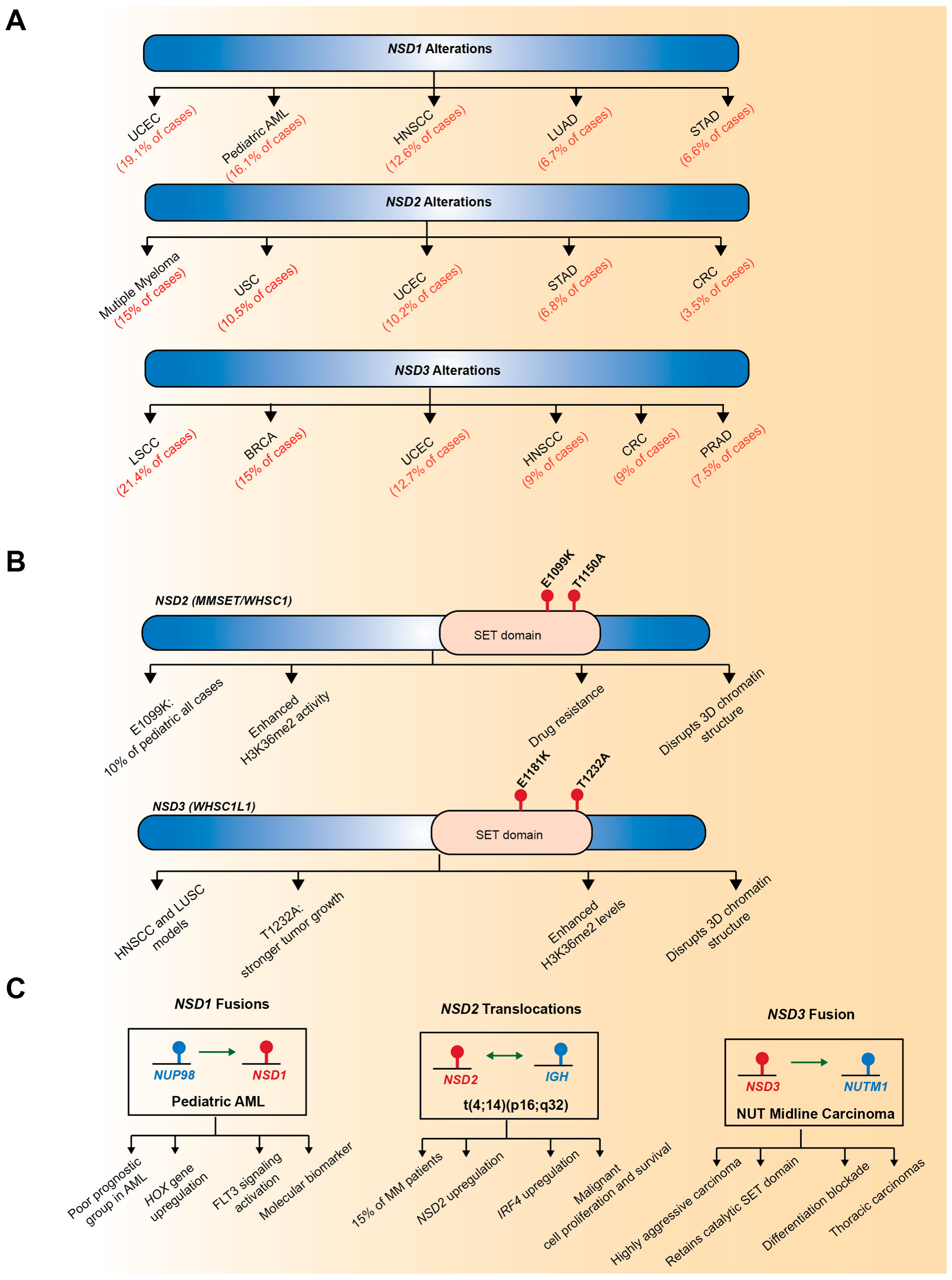 Biomedicines 13 02749 g002