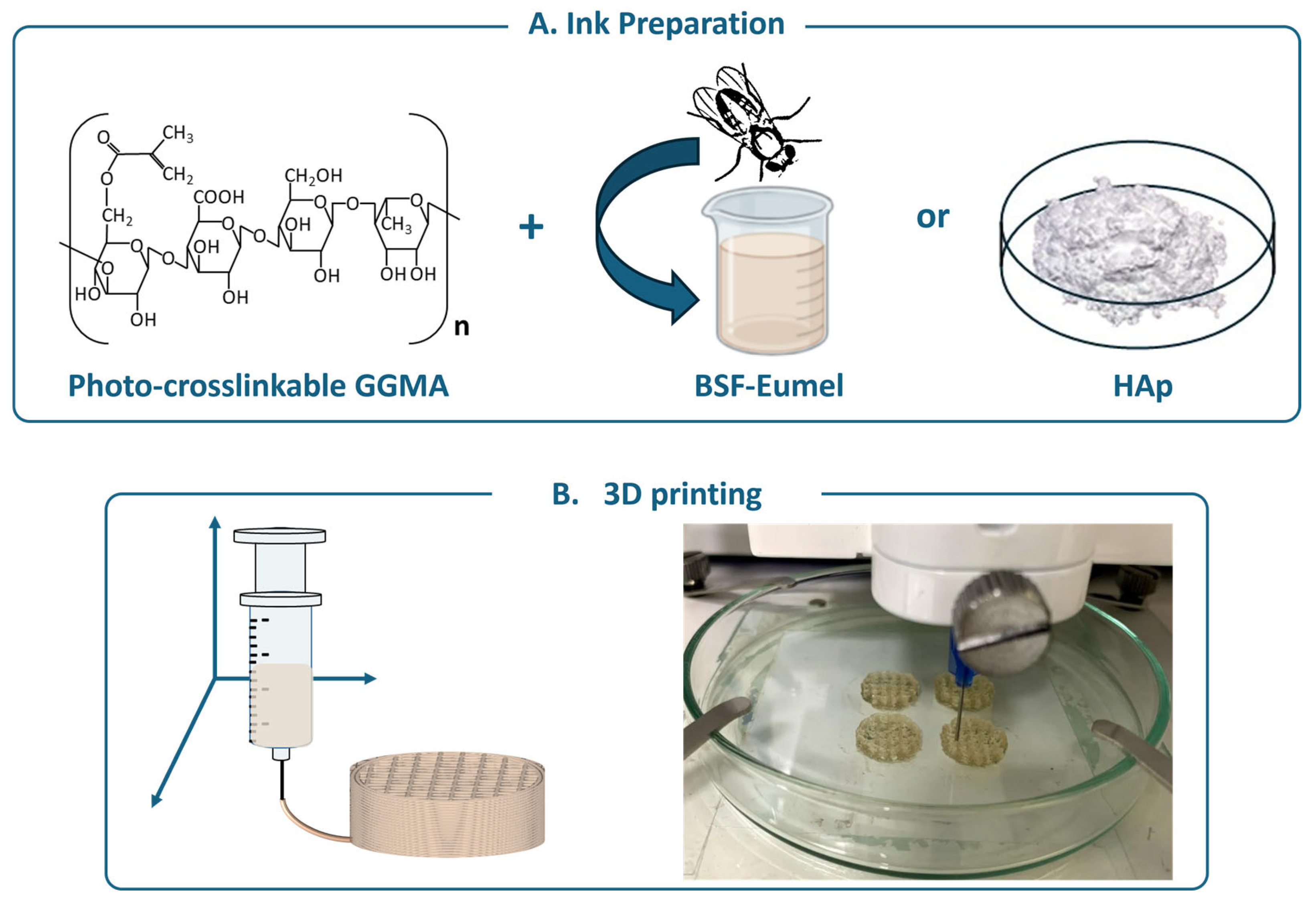 Biomedicines 13 02755 g001