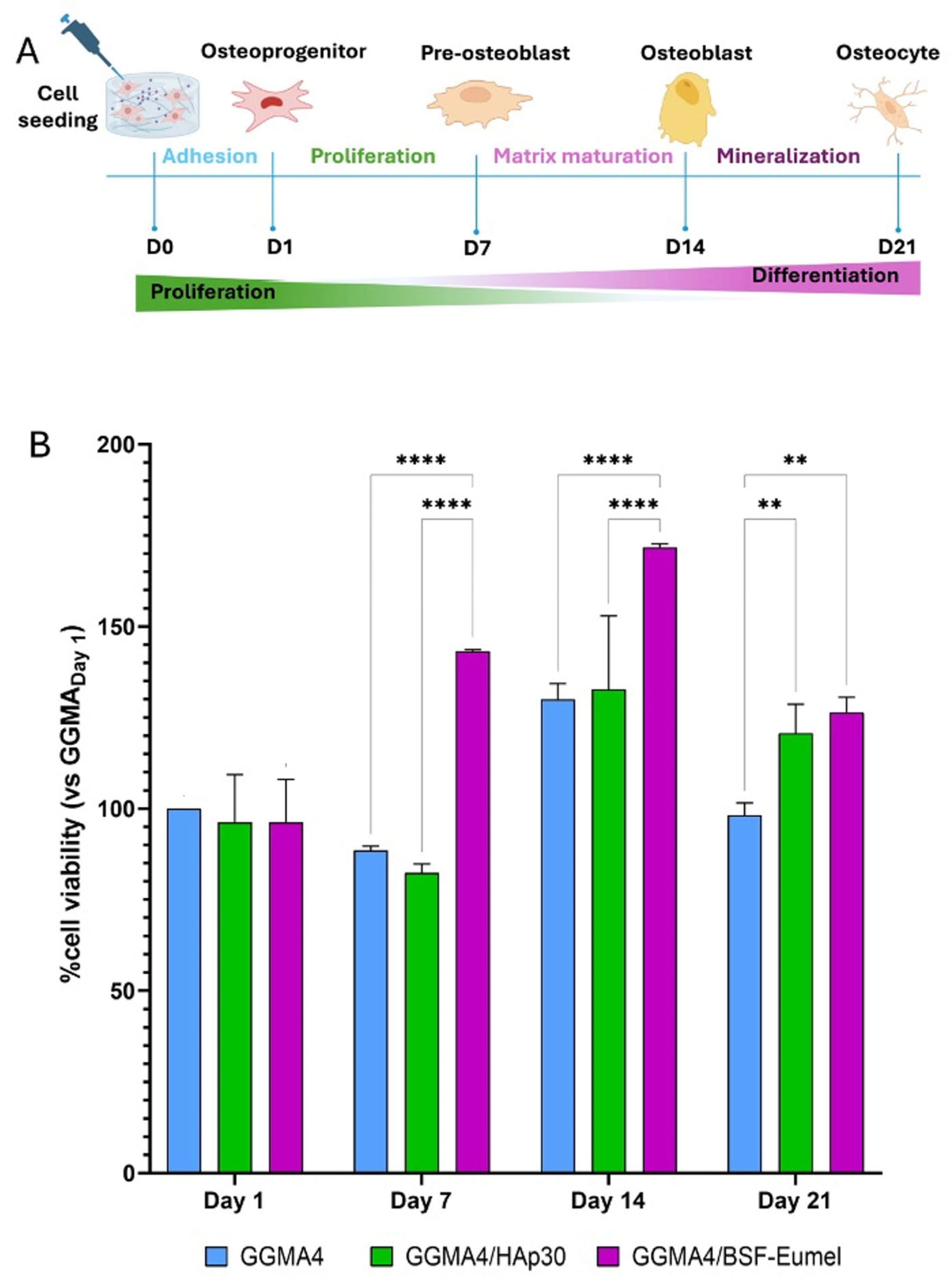Biomedicines 13 02755 g002