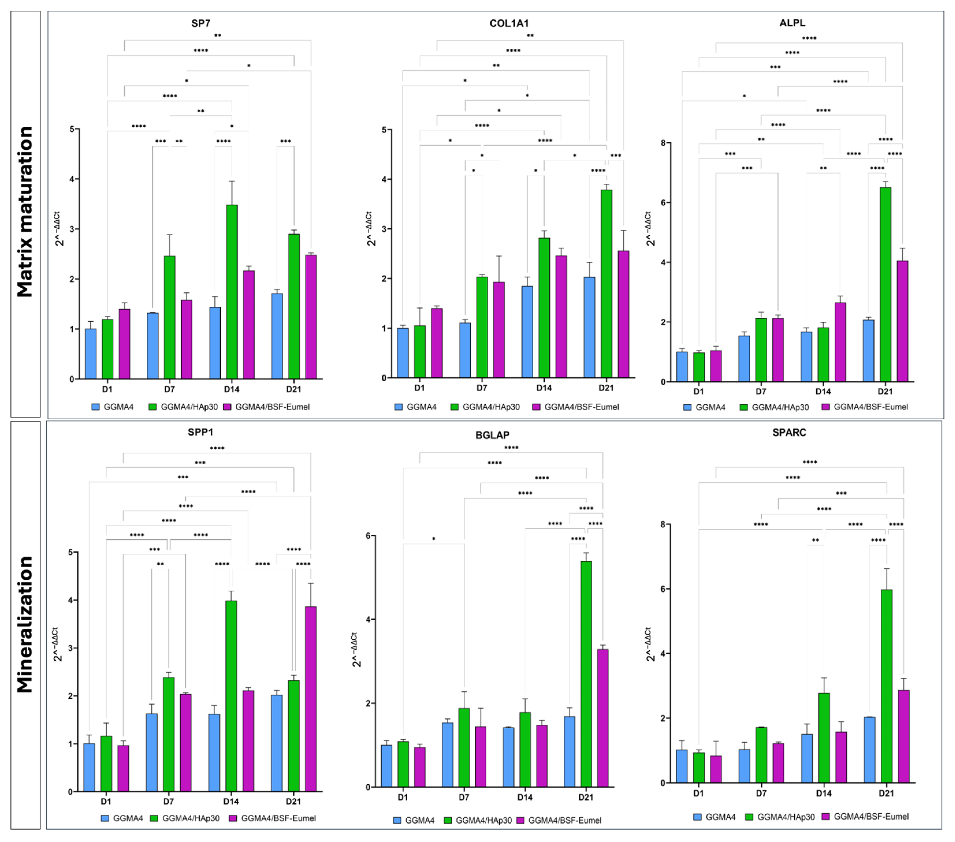 Biomedicines 13 02755 g008