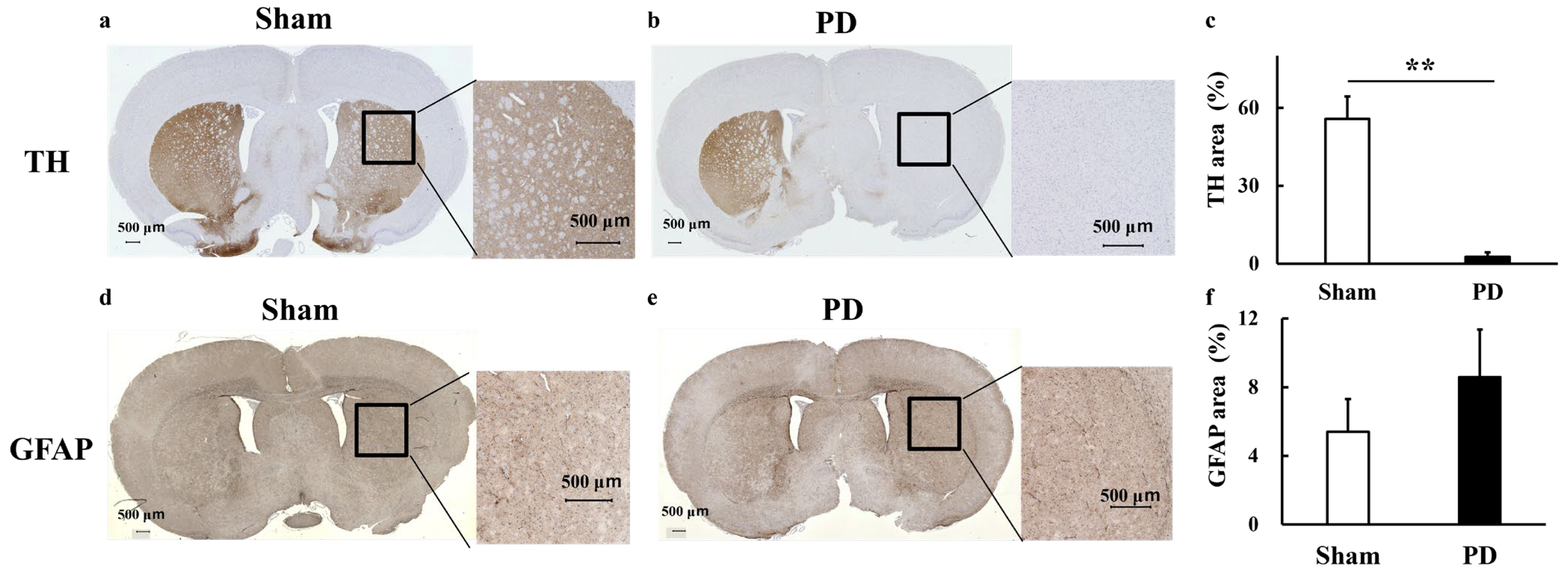 Biomedicines 13 02761 g007