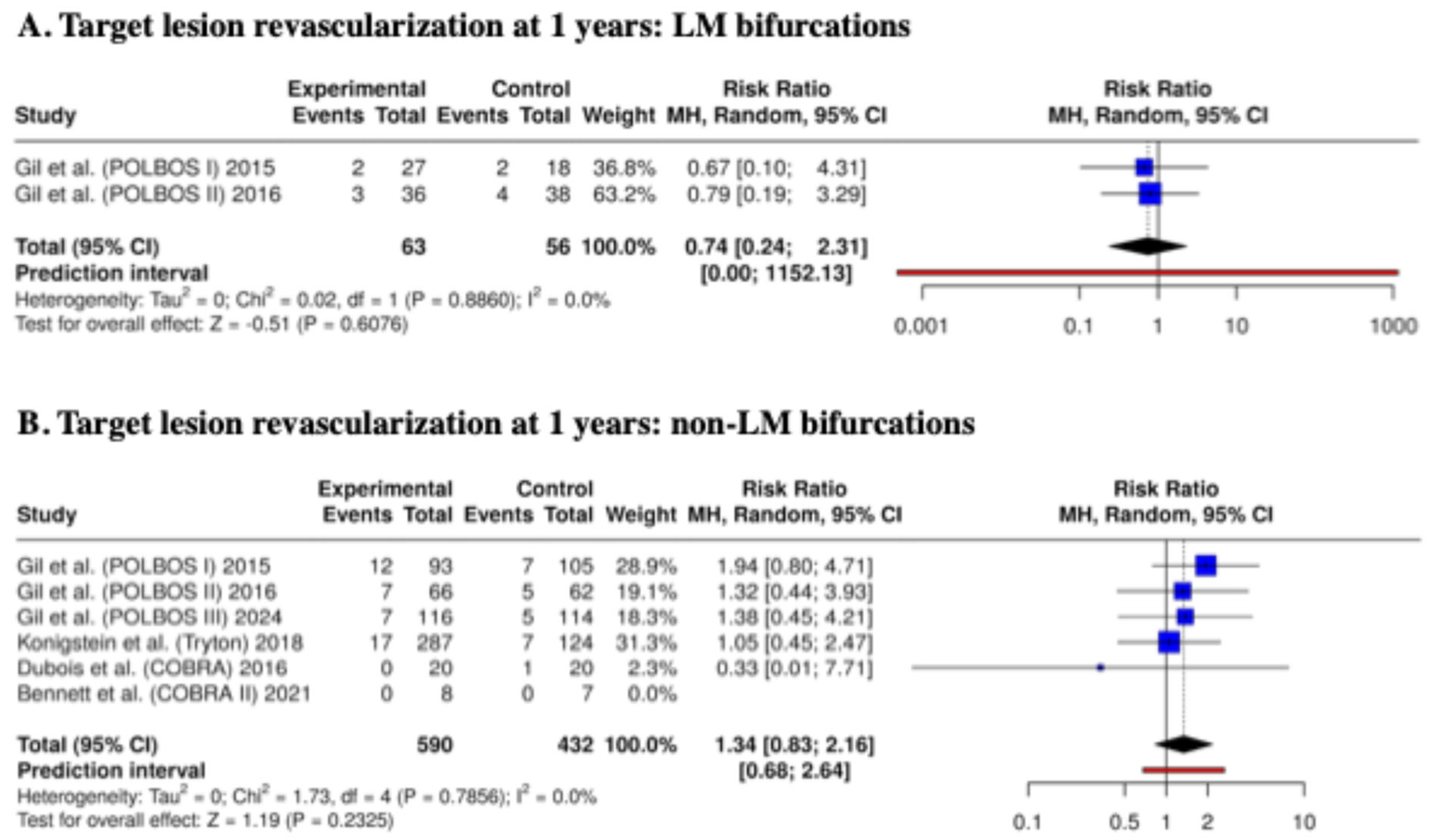 Biomedicines 13 02763 g004