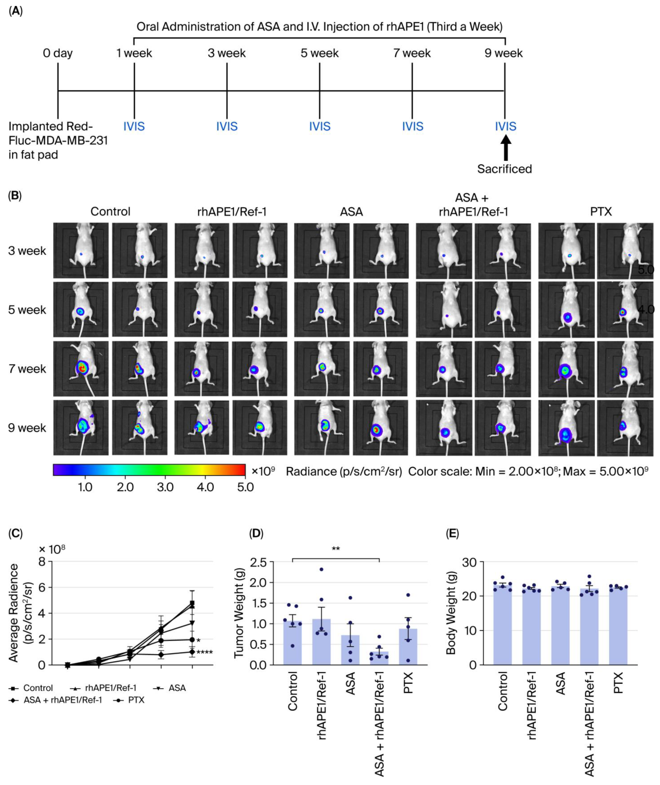 Biomedicines 13 02767 g002