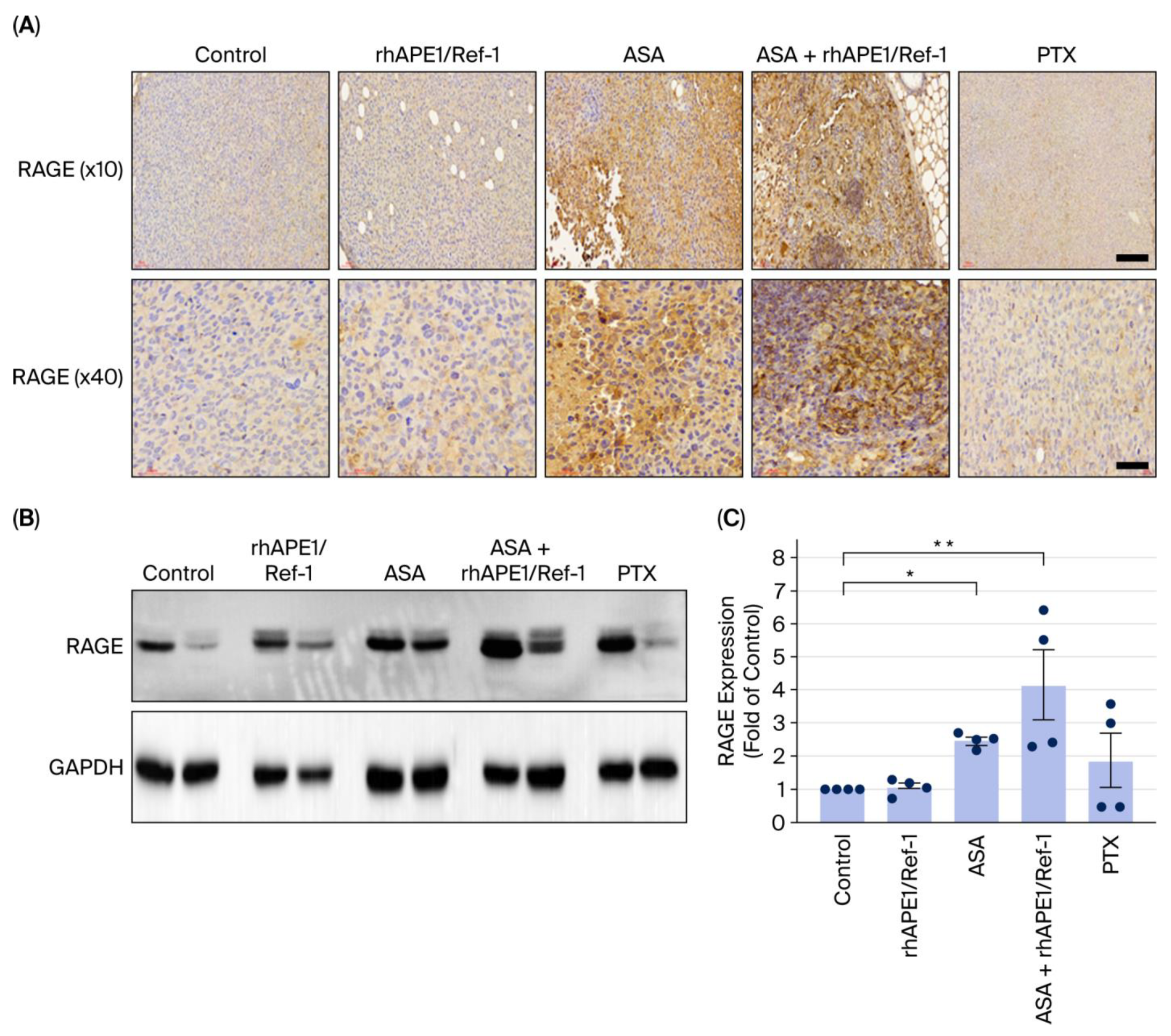 Biomedicines 13 02767 g005