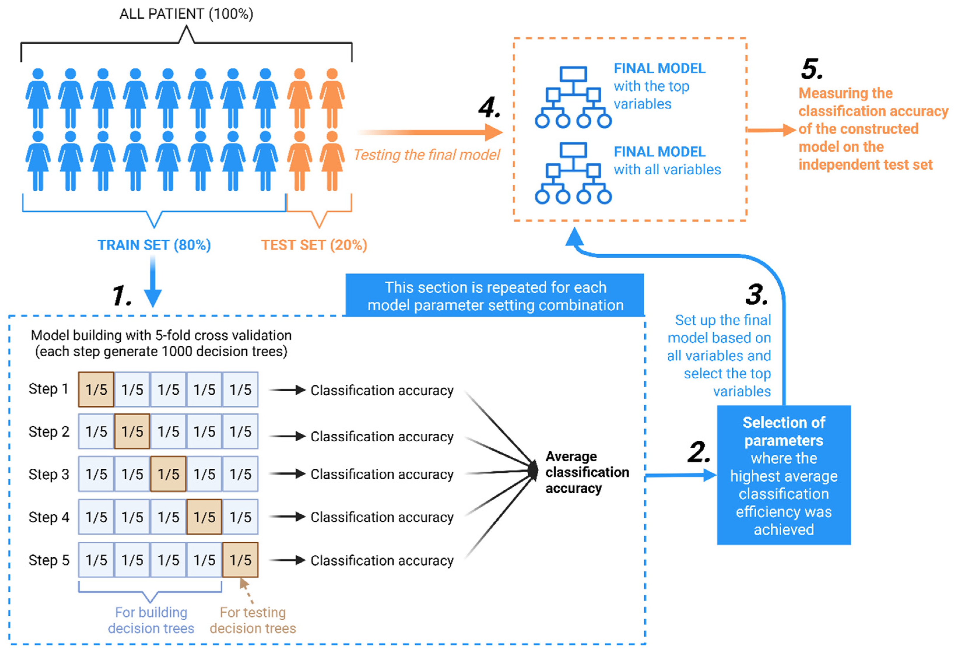Biomedicines 13 02768 g004