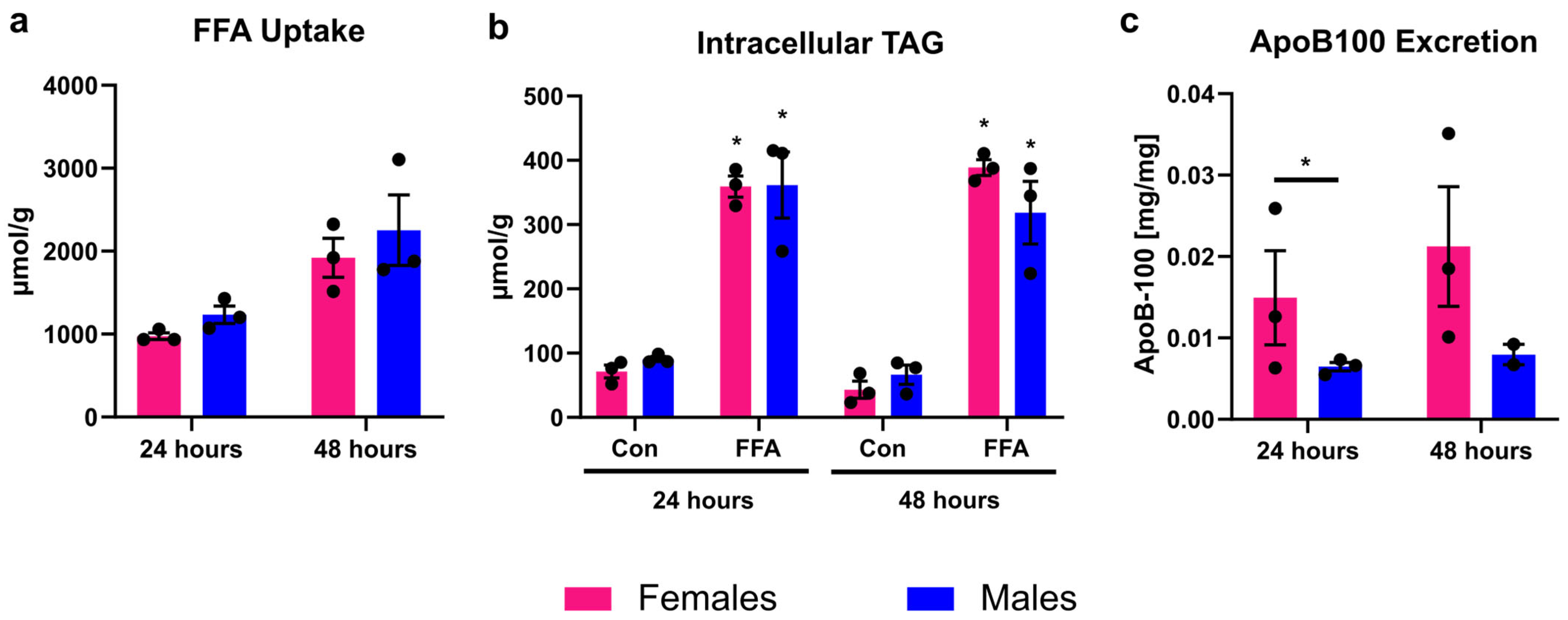 Biomedicines 13 02770 g001