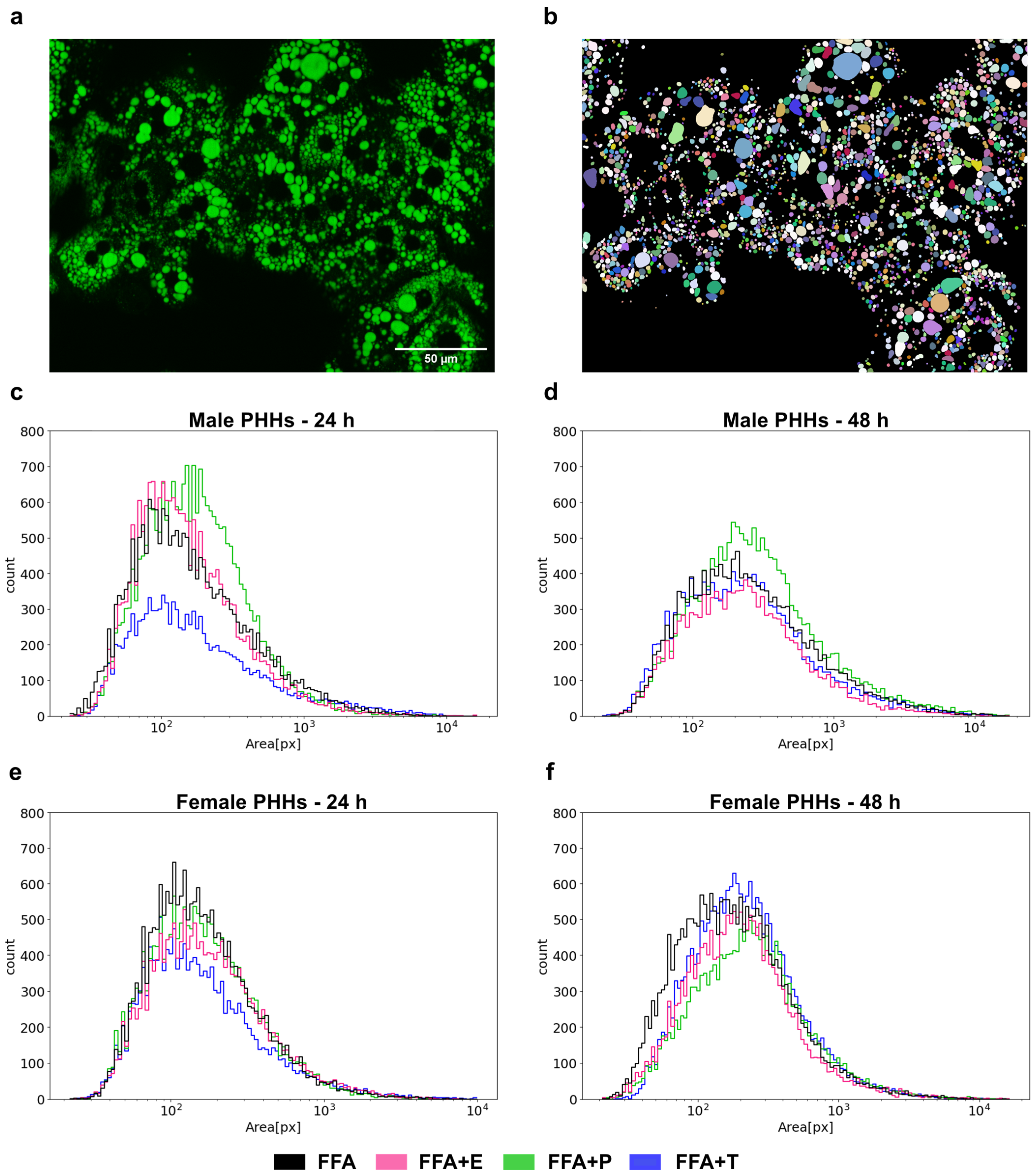Biomedicines 13 02770 g005