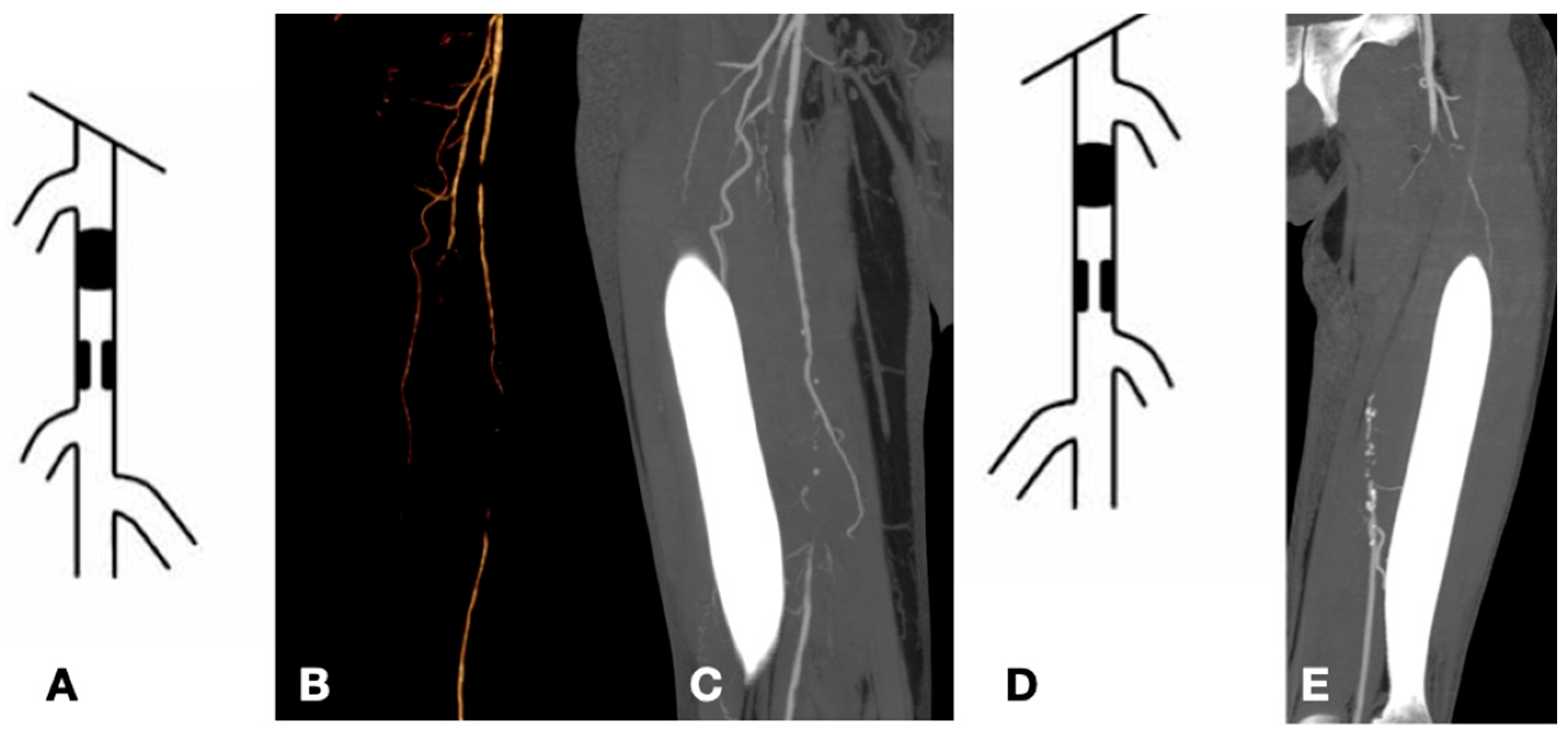 Biomedicines 13 02771 g001 Biomedicines 13 02771 g001