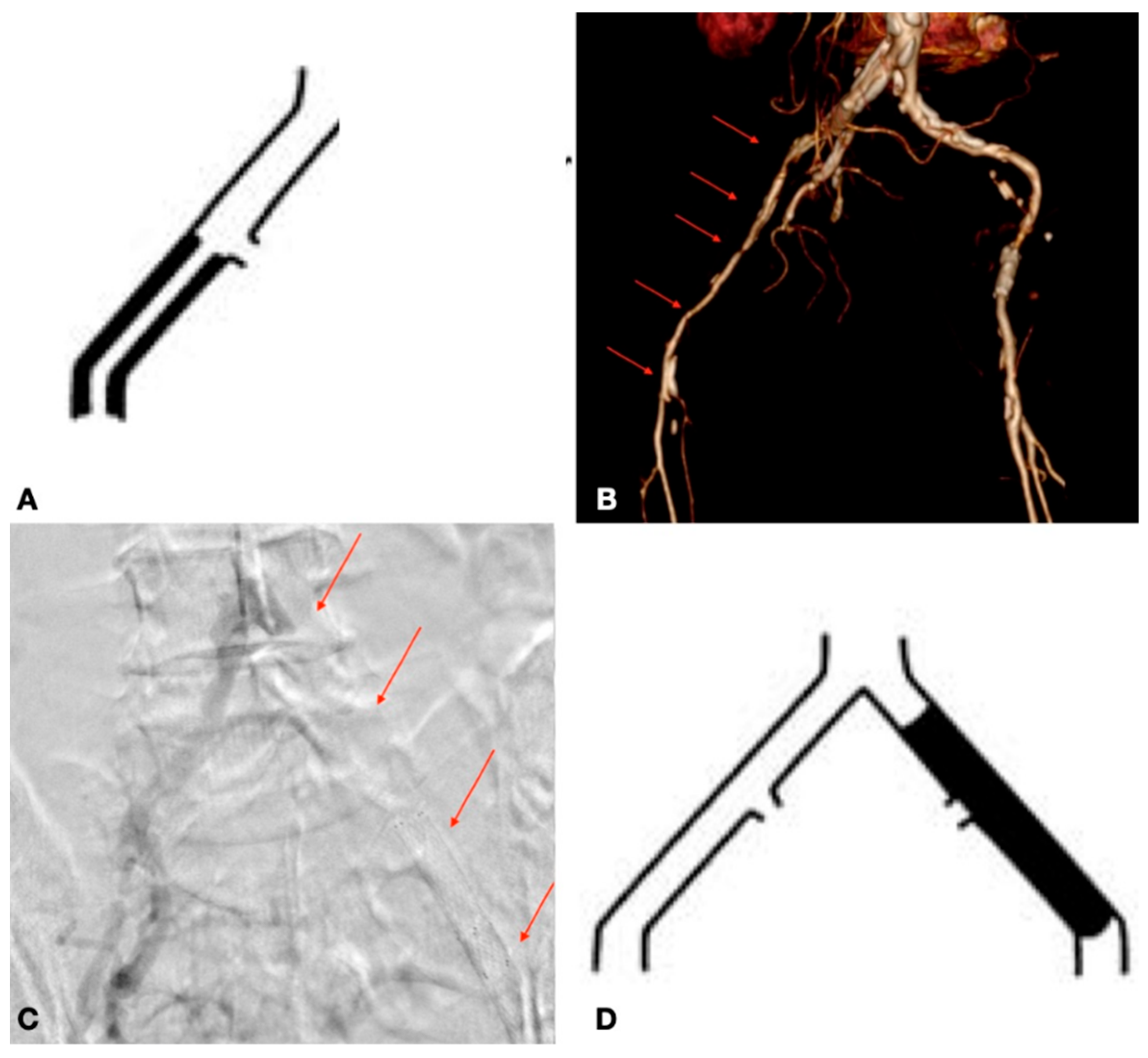 Biomedicines 13 02771 g002 Biomedicines 13 02771 g002