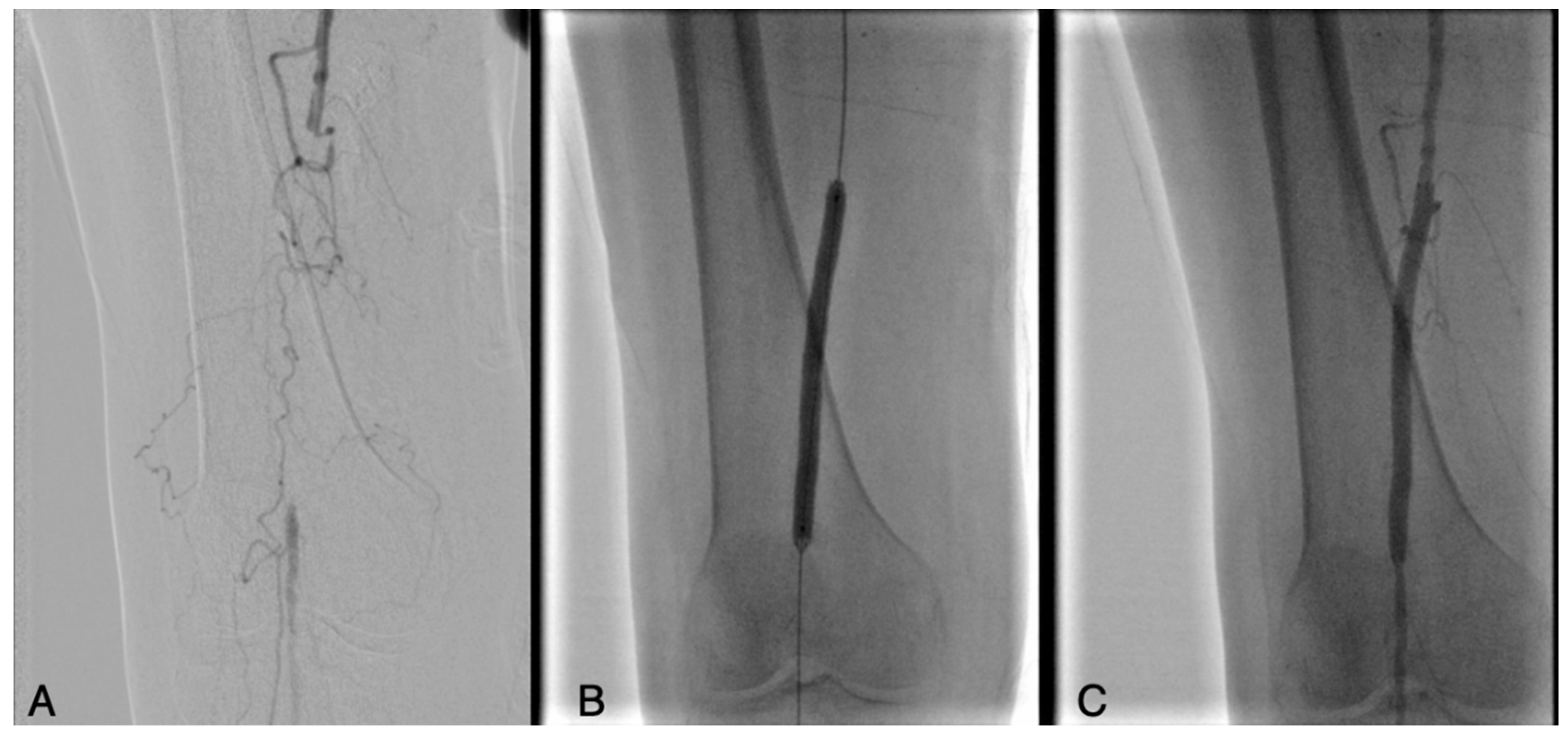 Biomedicines 13 02771 g003 Biomedicines 13 02771 g003