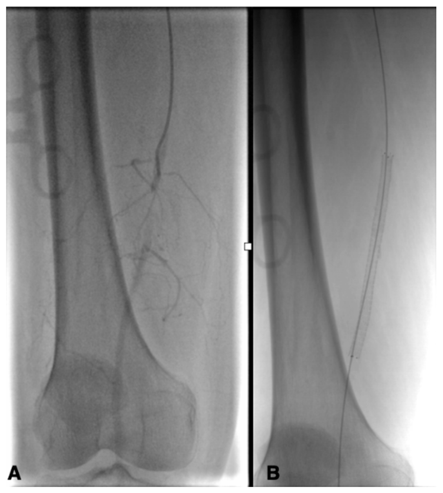 Biomedicines 13 02771 g004 Biomedicines 13 02771 g004