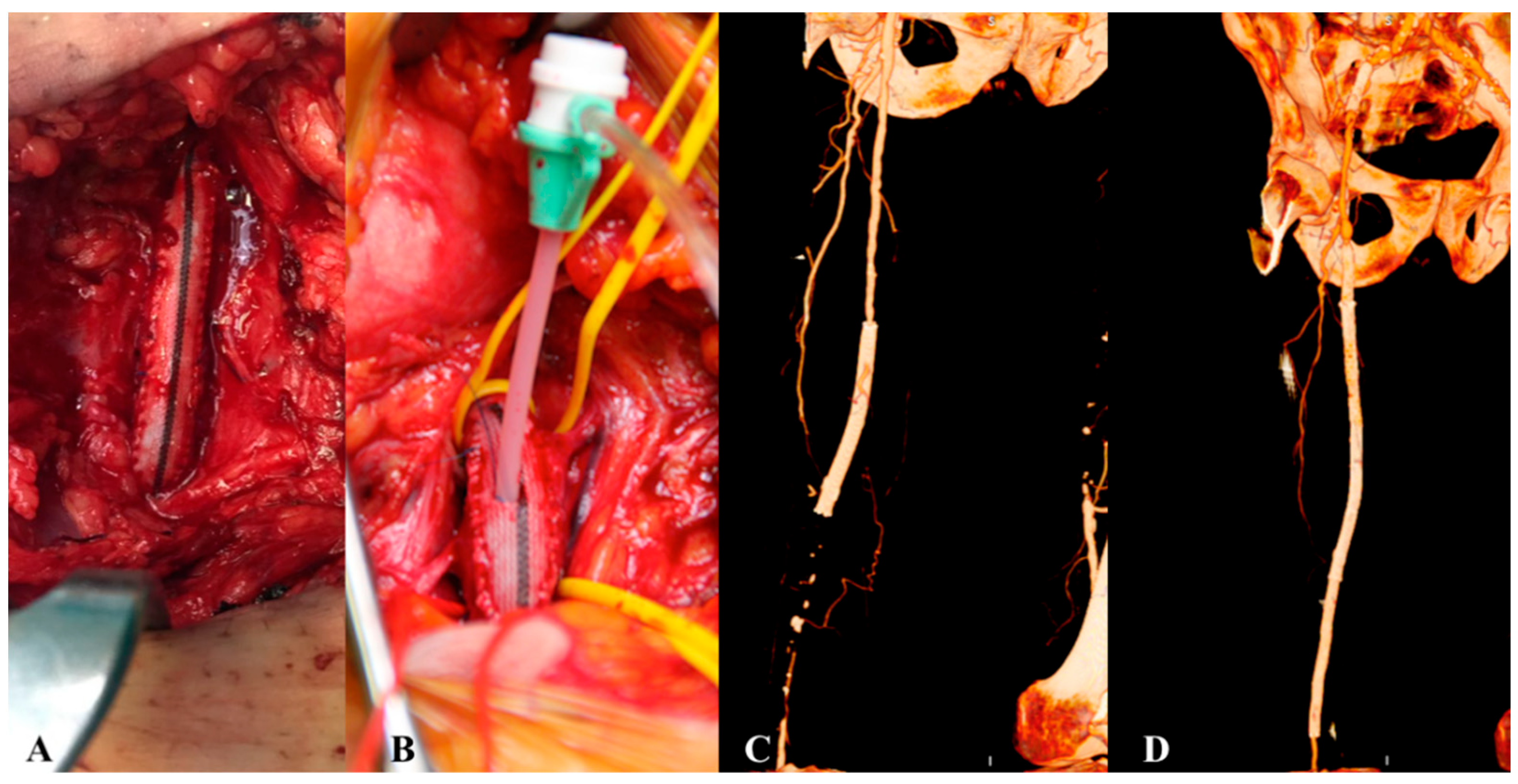 Biomedicines 13 02771 g005 Biomedicines 13 02771 g005