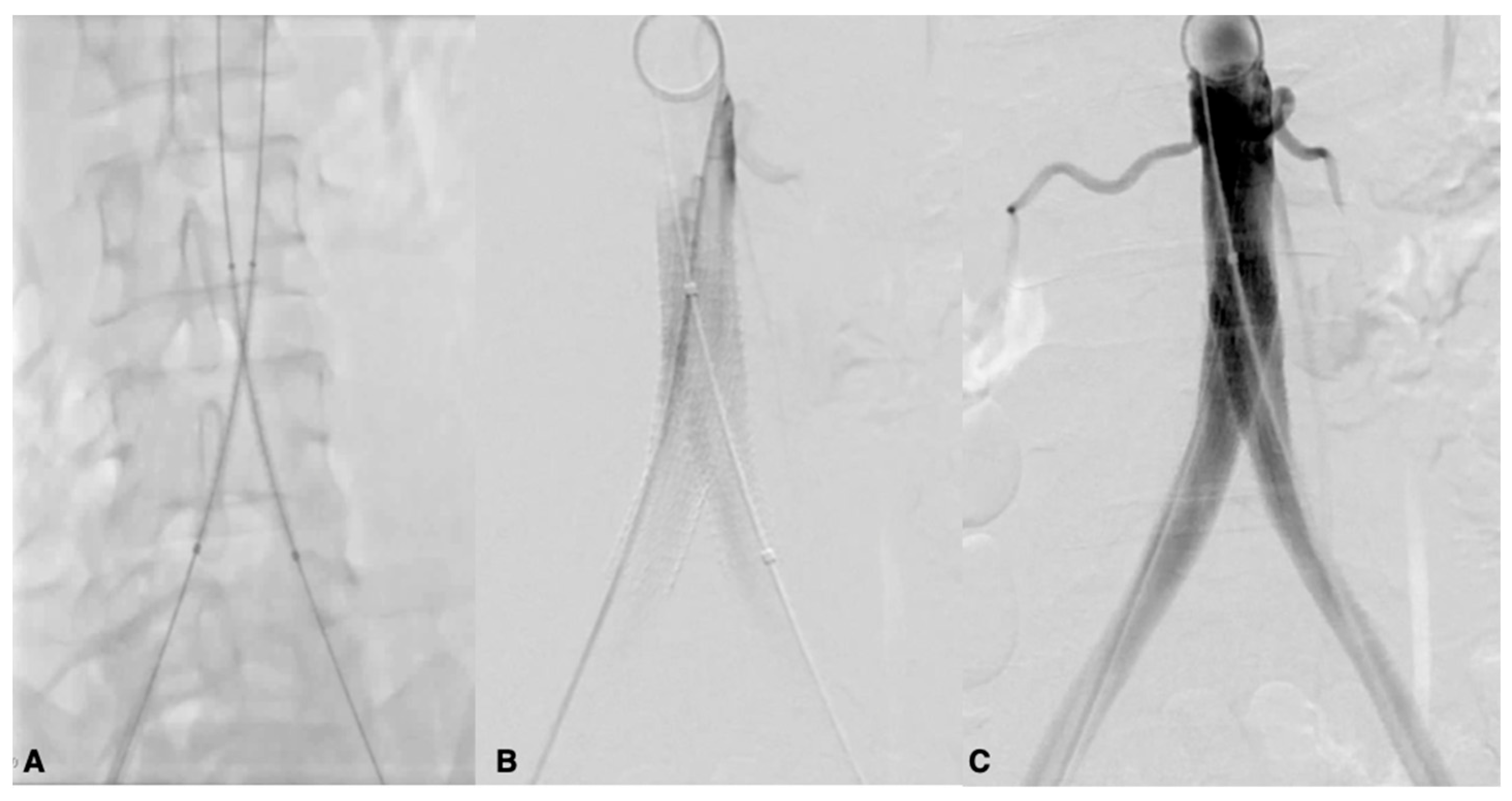 Biomedicines 13 02771 g006 Biomedicines 13 02771 g006