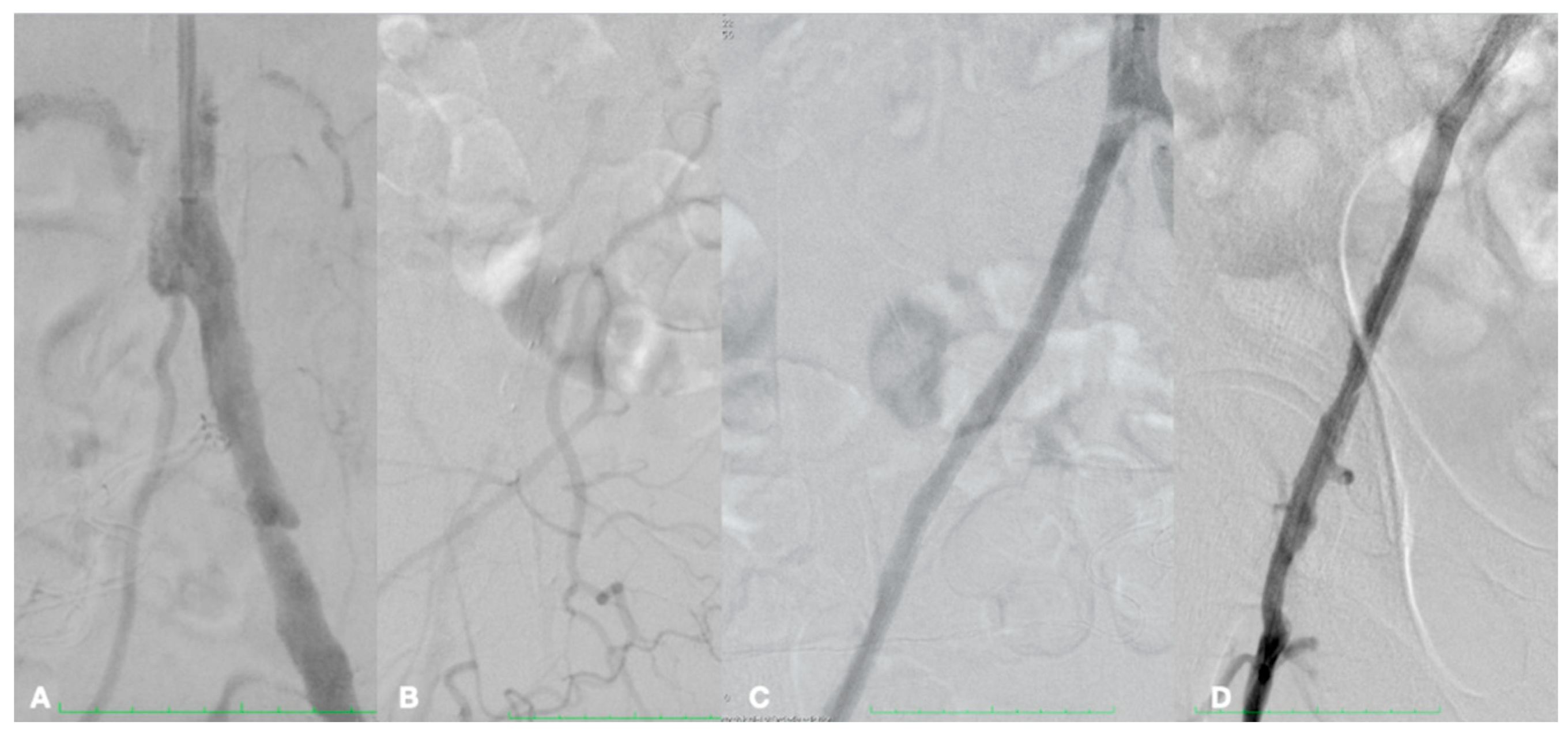 Biomedicines 13 02771 g007 Biomedicines 13 02771 g007