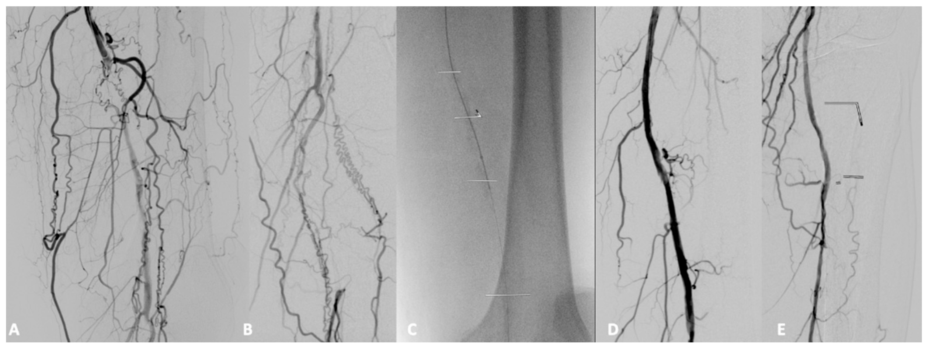 Biomedicines 13 02771 g008 Biomedicines 13 02771 g008