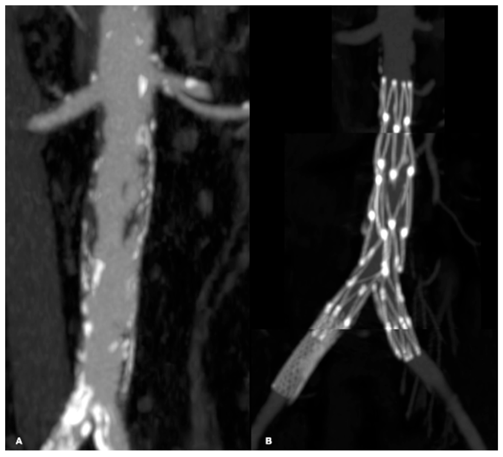 Biomedicines 13 02771 g009 Biomedicines 13 02771 g009