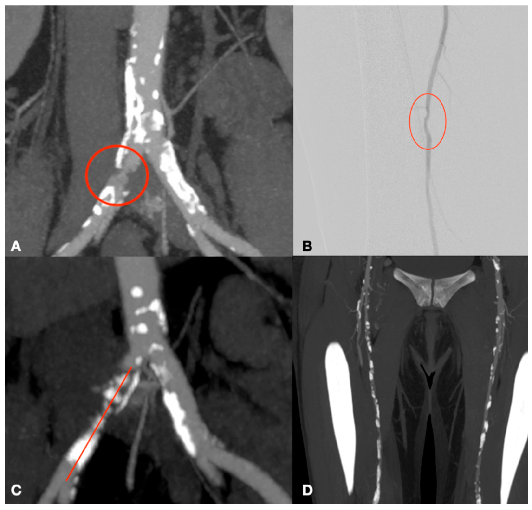 Biomedicines 13 02771 g015 Biomedicines 13 02771 g015