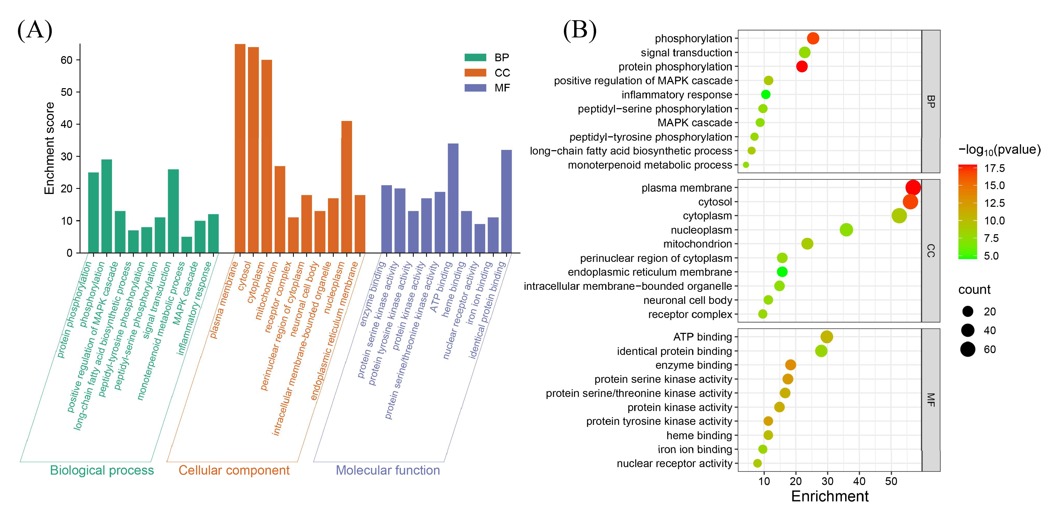 Biomedicines 13 02778 g003 Biomedicines 13 02778 g003