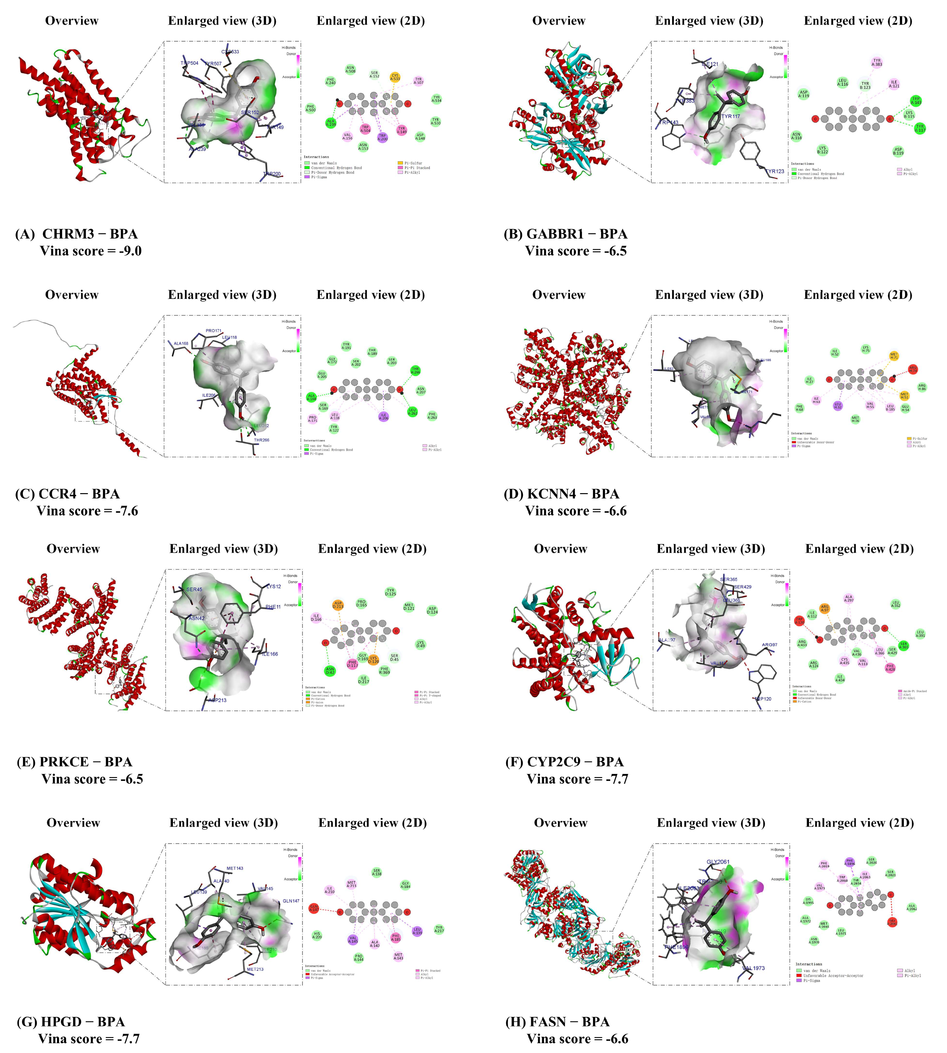 Biomedicines 13 02778 g007 Biomedicines 13 02778 g007
