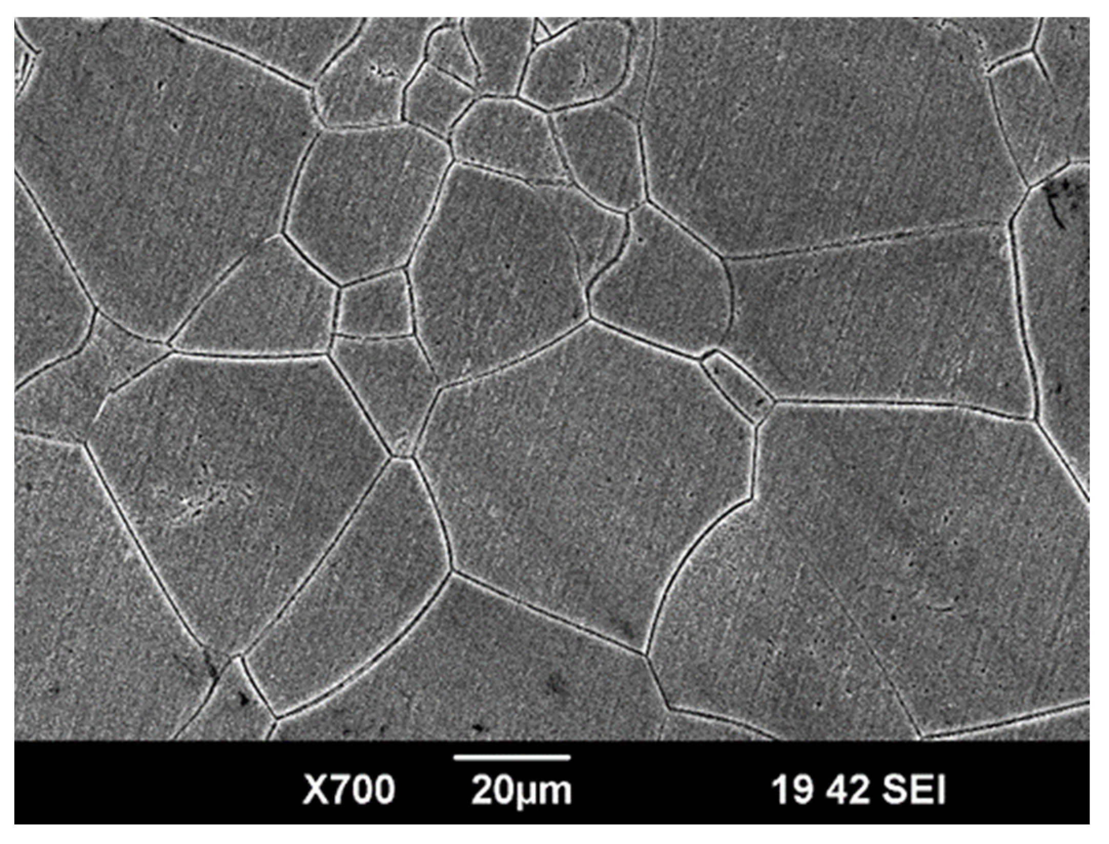 Biomedicines 13 02779 g001