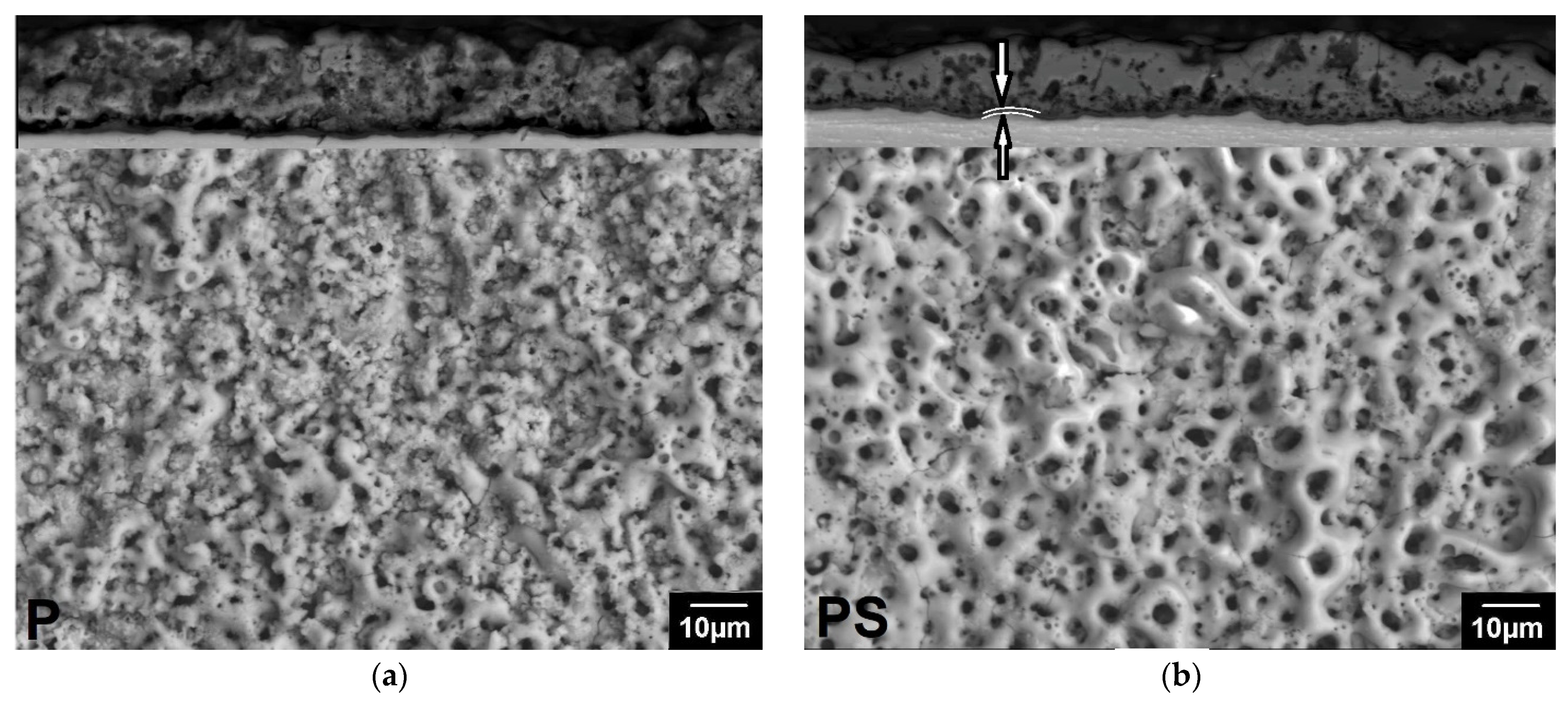 Biomedicines 13 02779 g002a