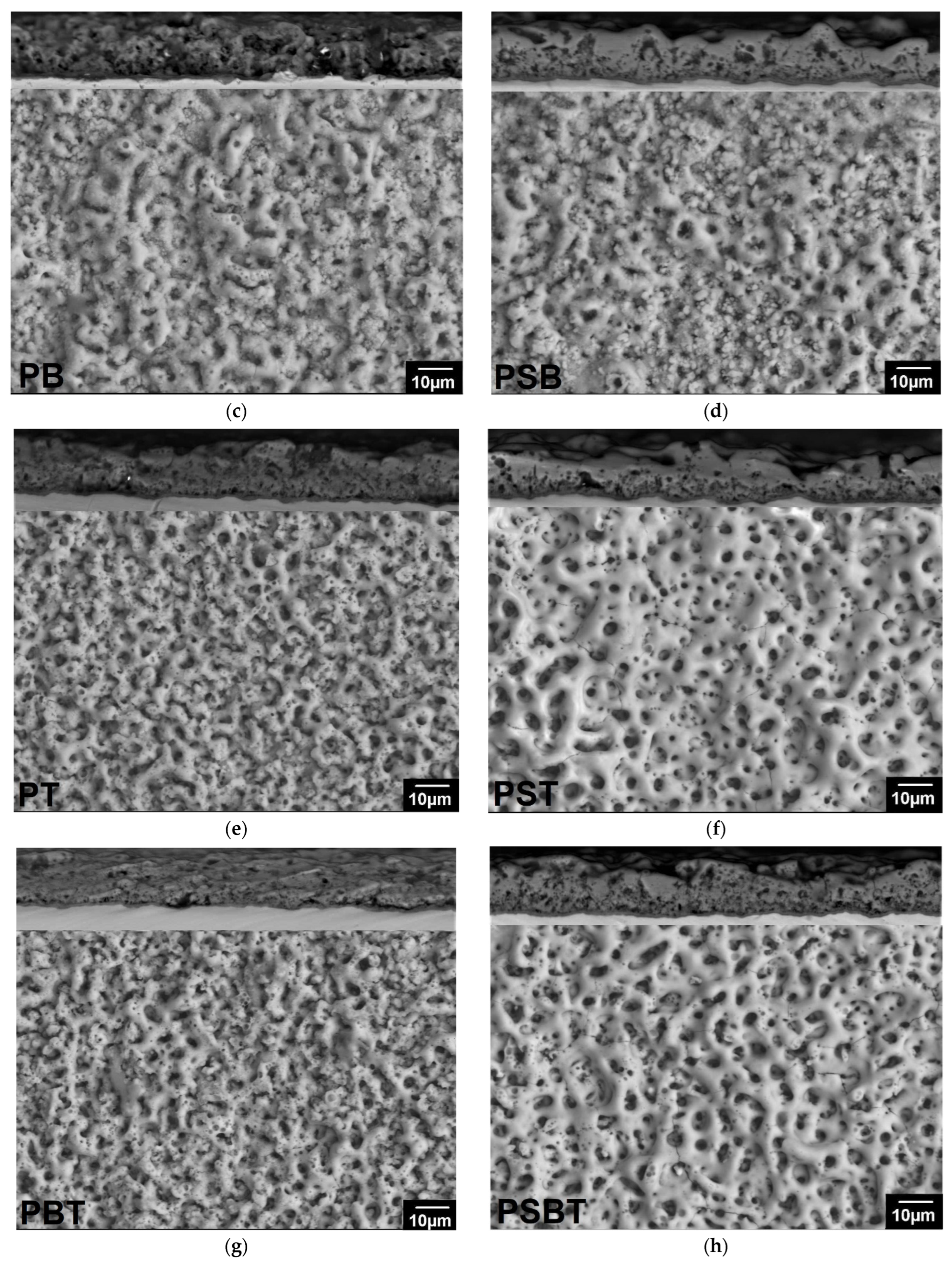 Biomedicines 13 02779 g002b