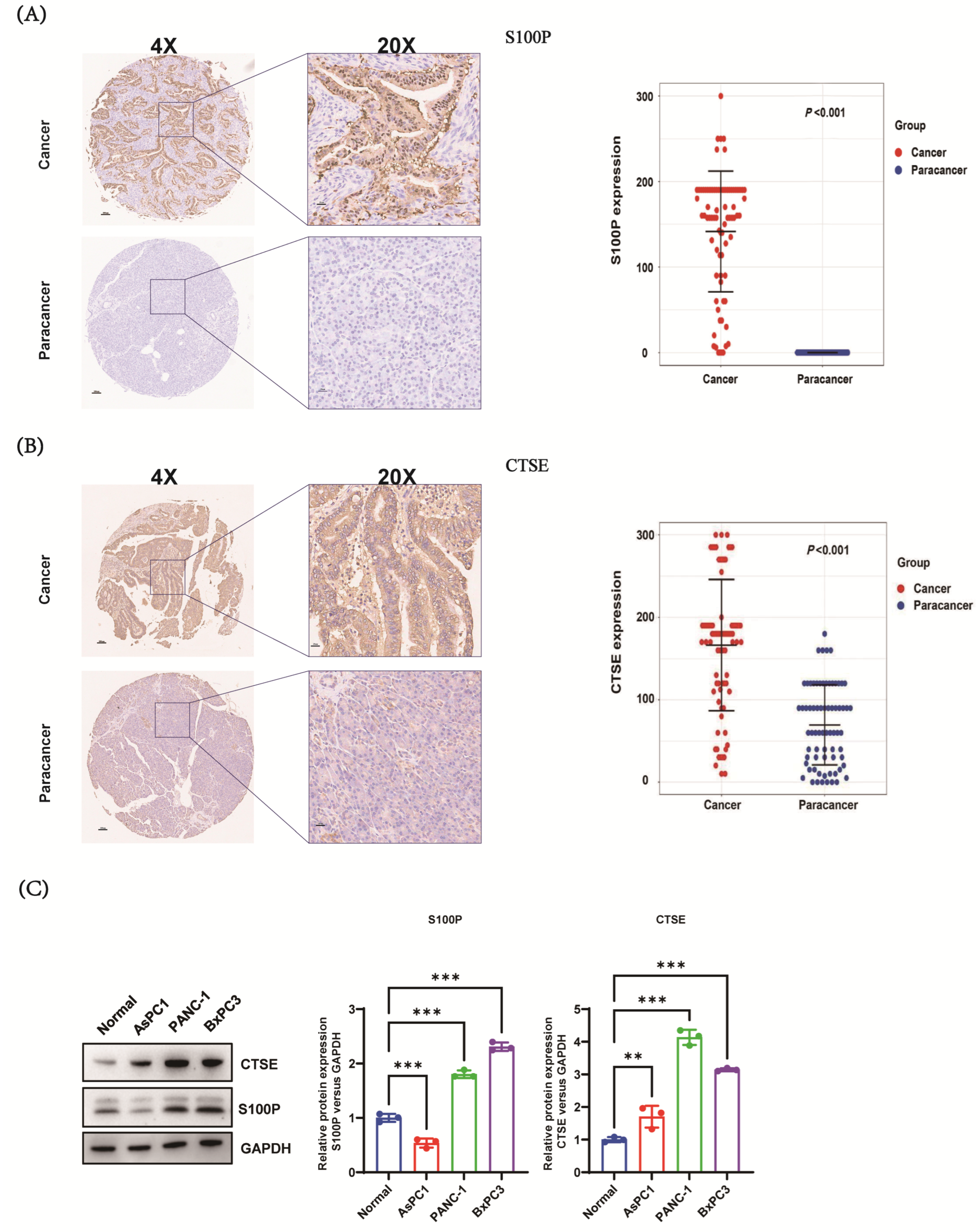 Biomedicines 13 02780 g002