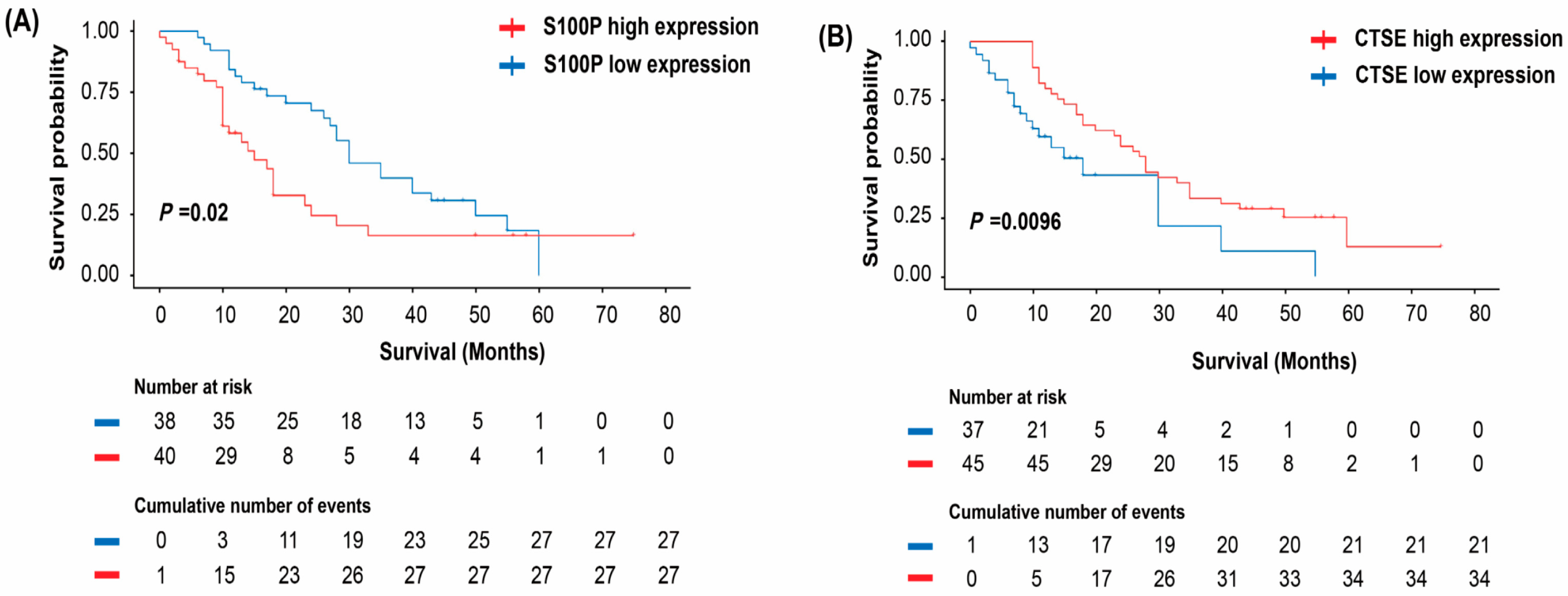 Biomedicines 13 02780 g003