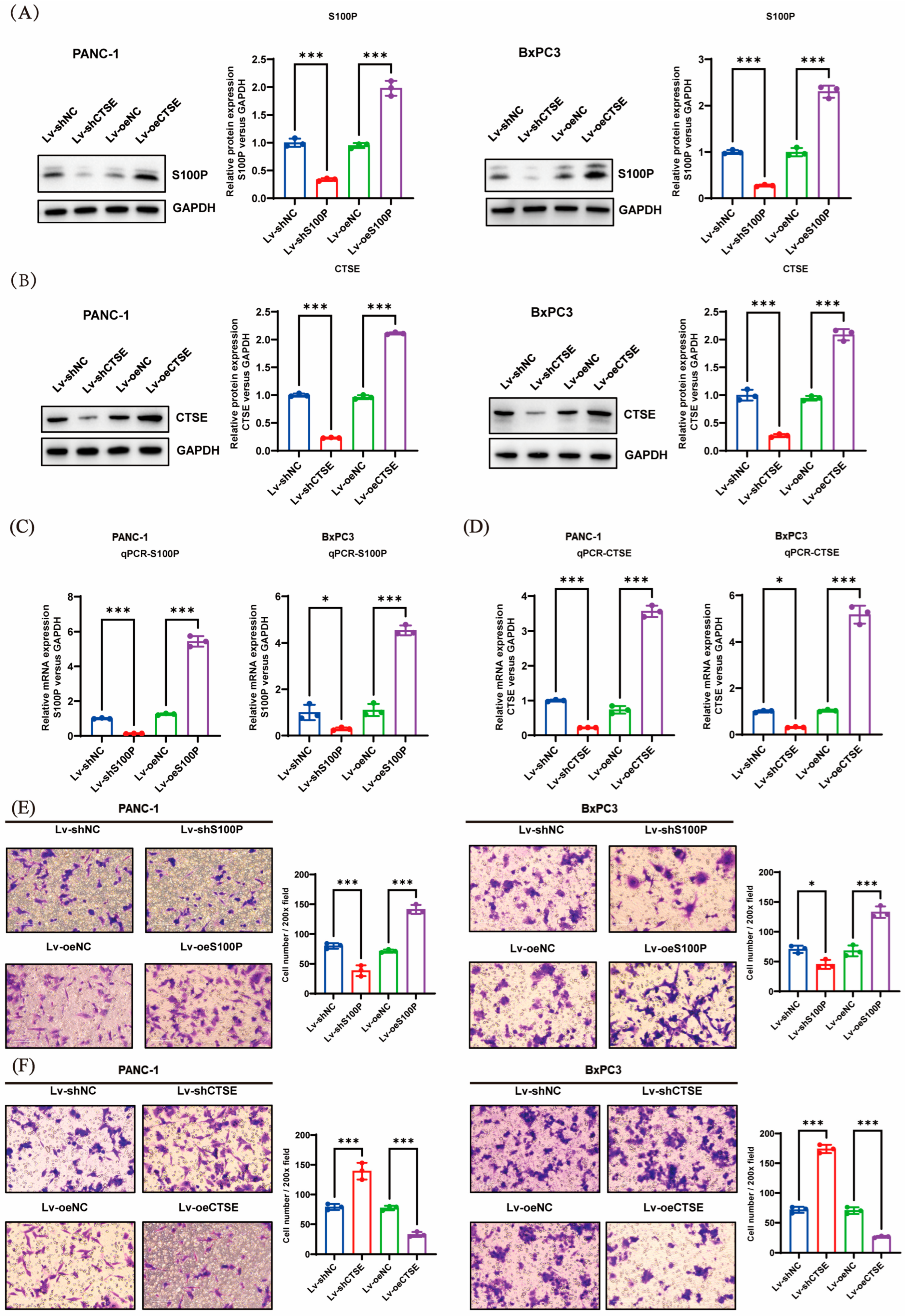 Biomedicines 13 02780 g004