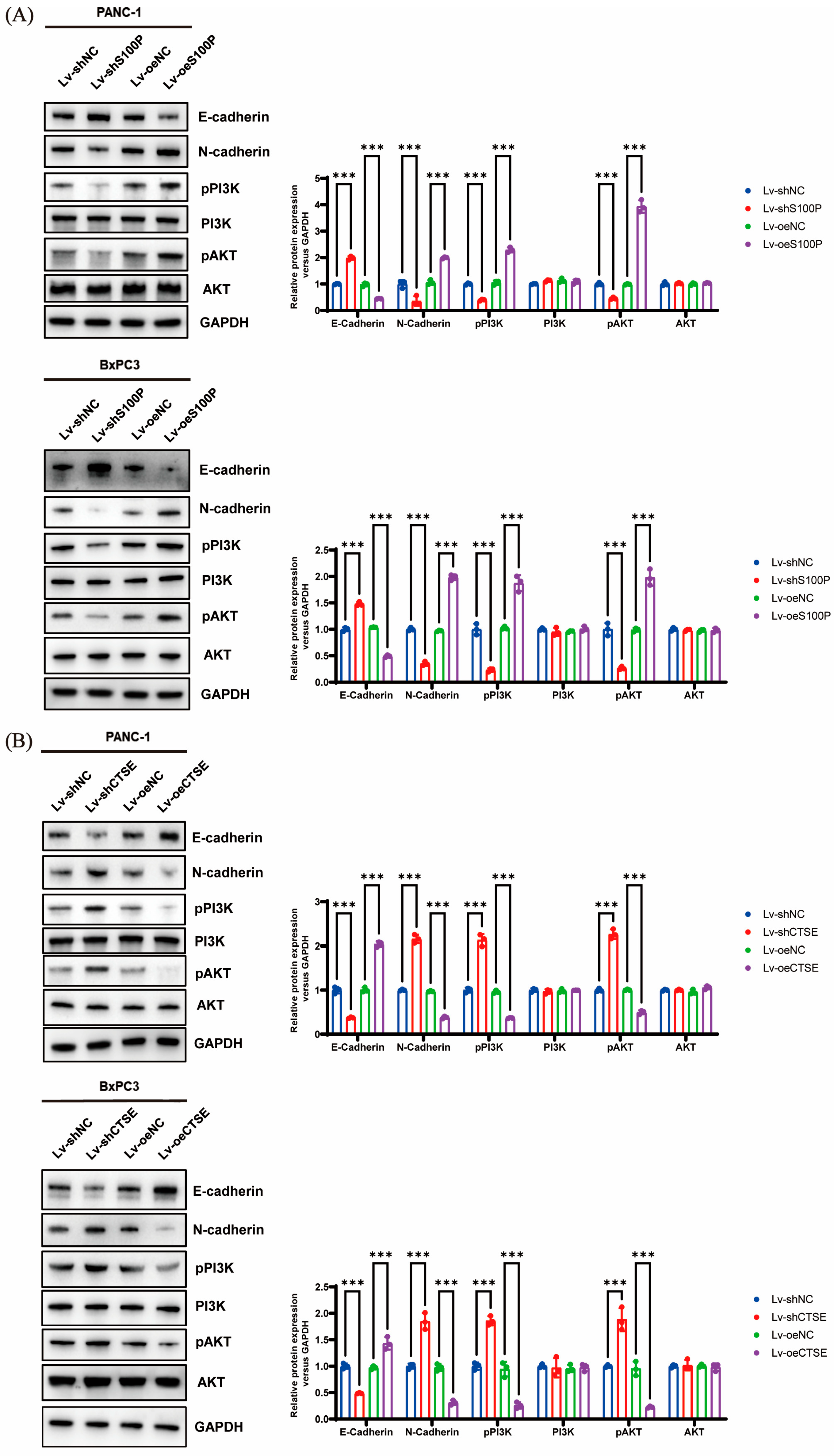 Biomedicines 13 02780 g005