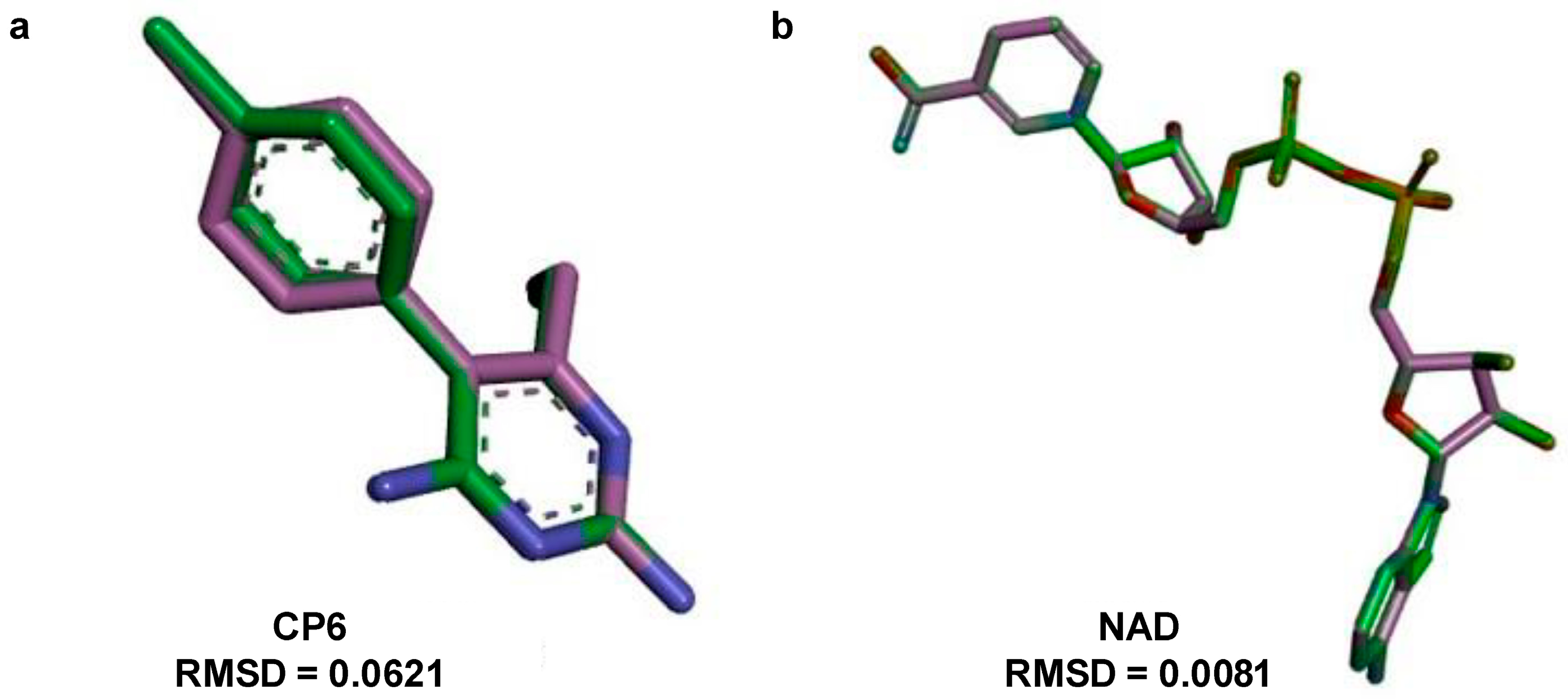 Biomedicines 13 02785 g003