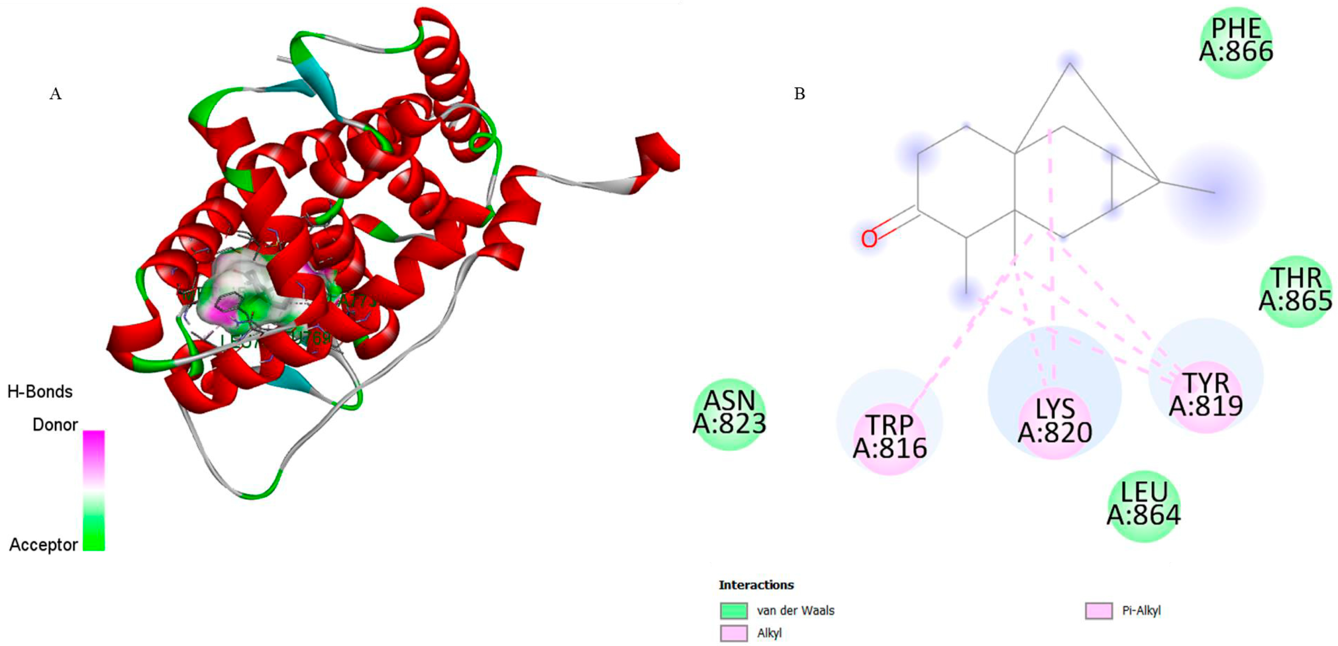 Biomedicines 13 02785 g004