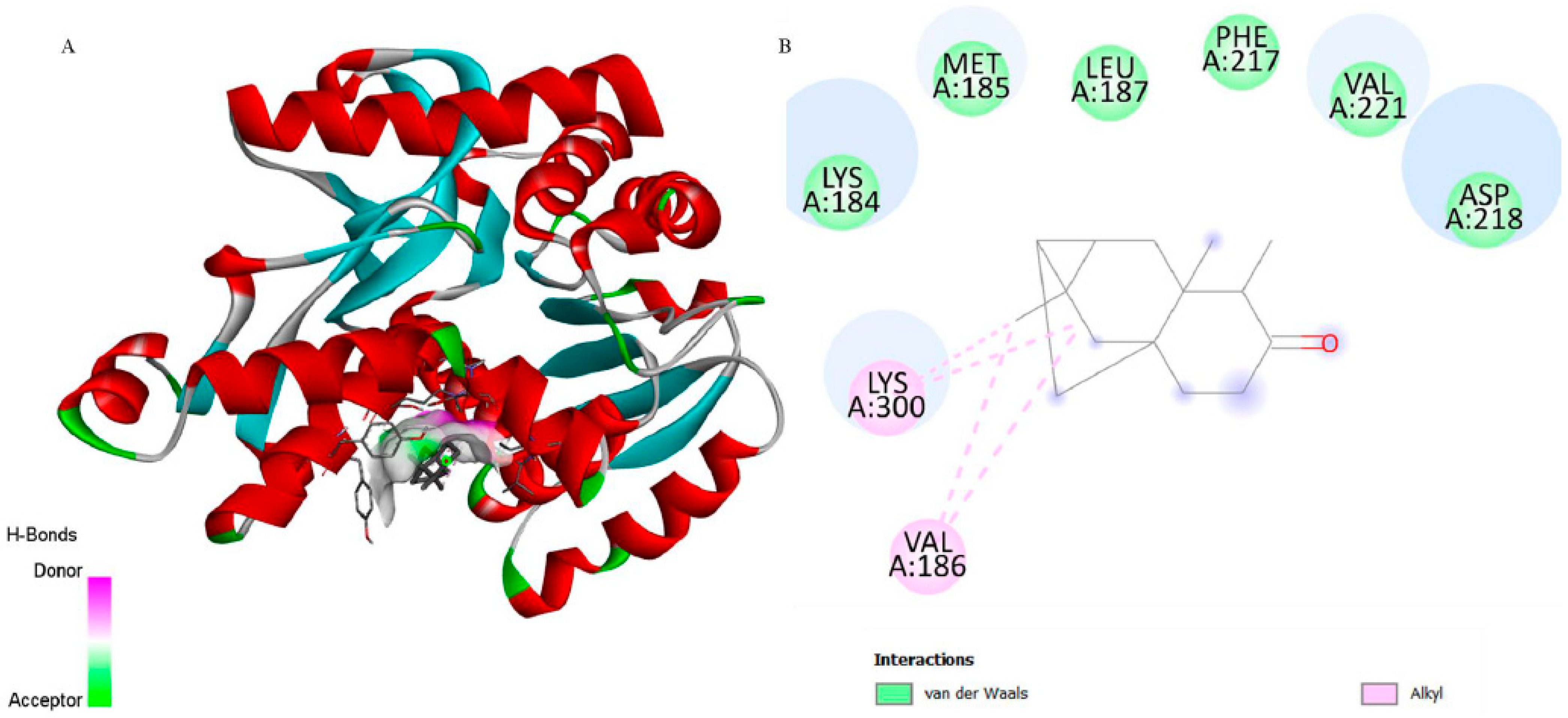 Biomedicines 13 02785 g006