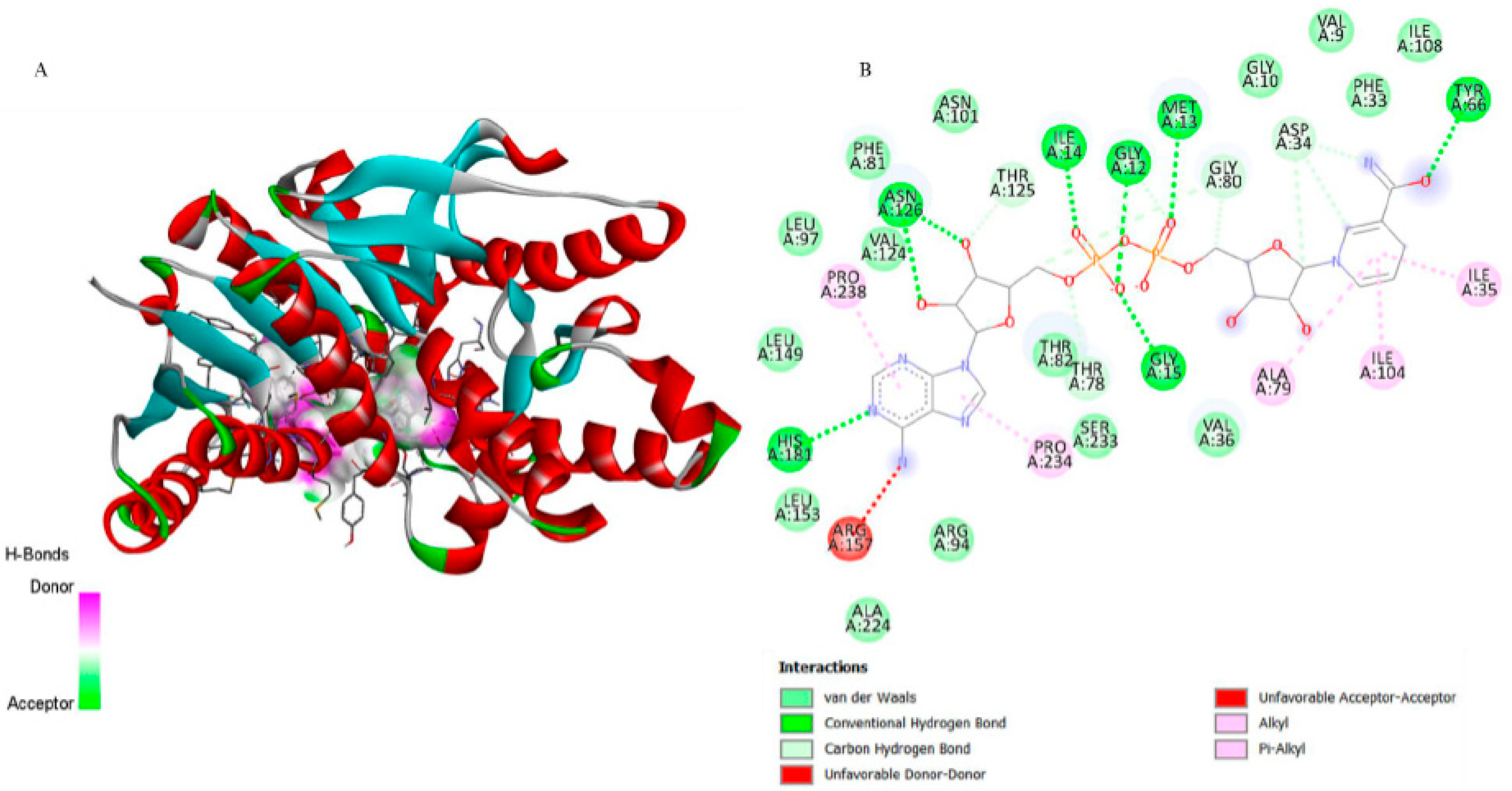 Biomedicines 13 02785 g007