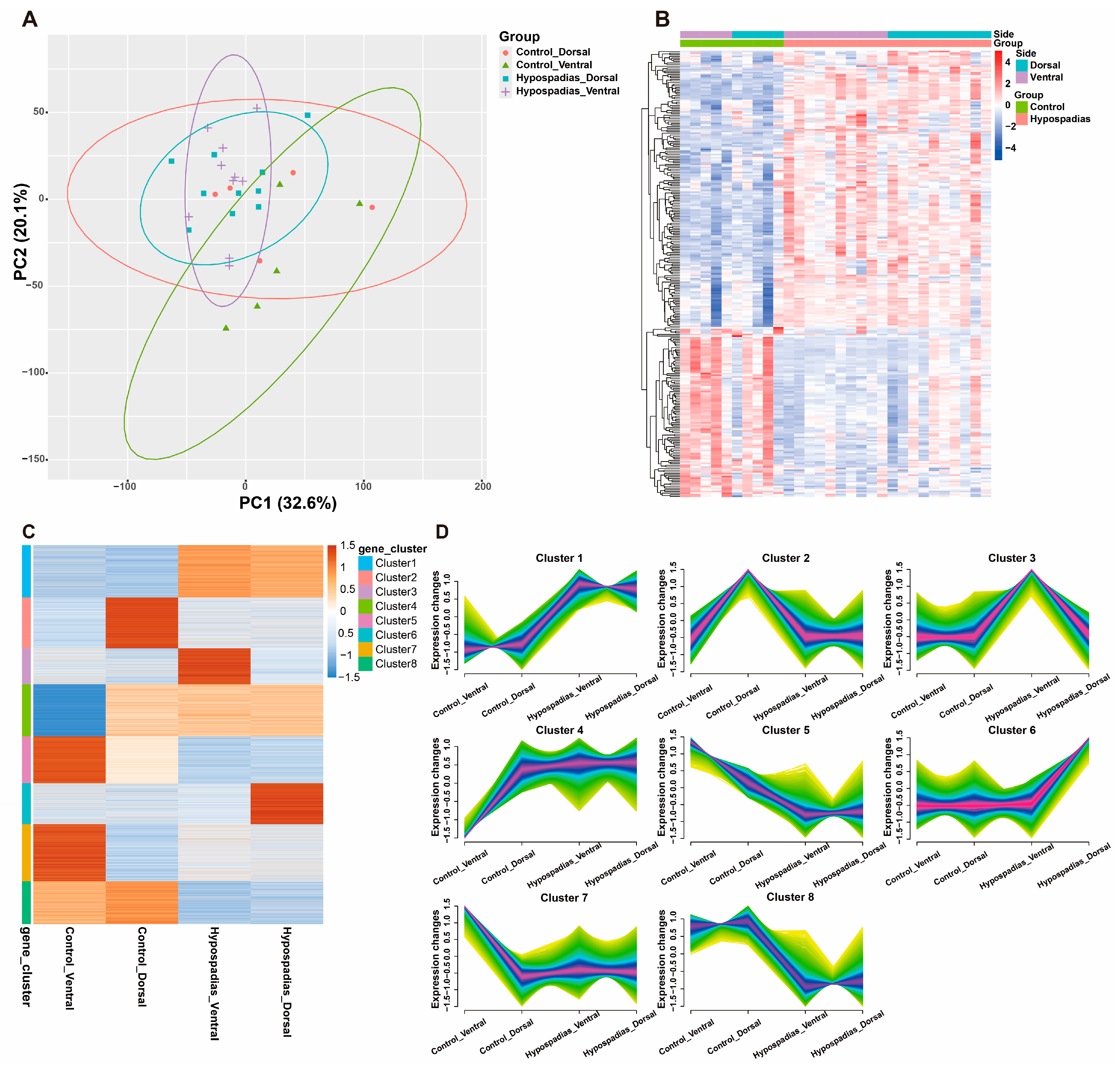 Biomedicines 13 02786 g001