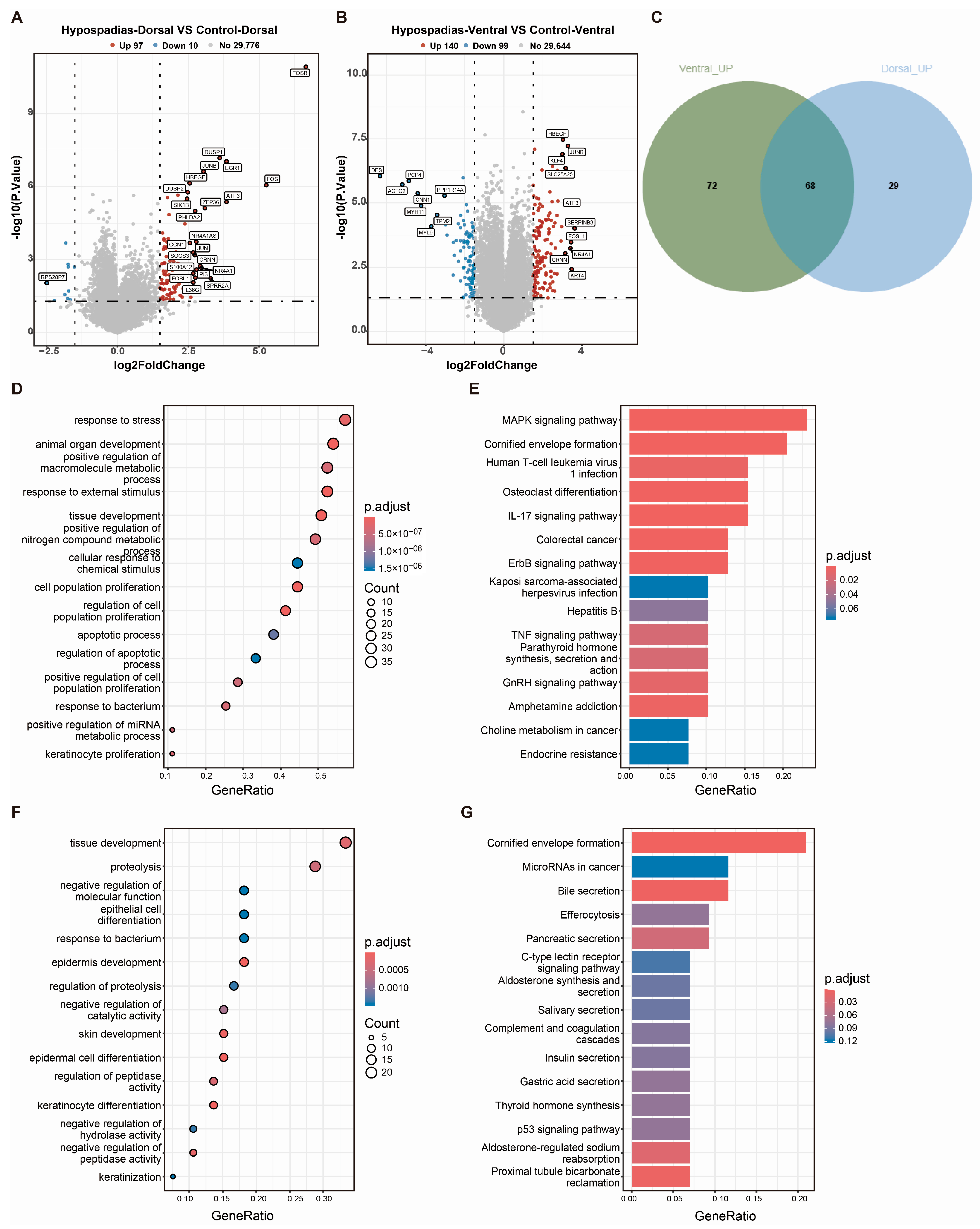 Biomedicines 13 02786 g002