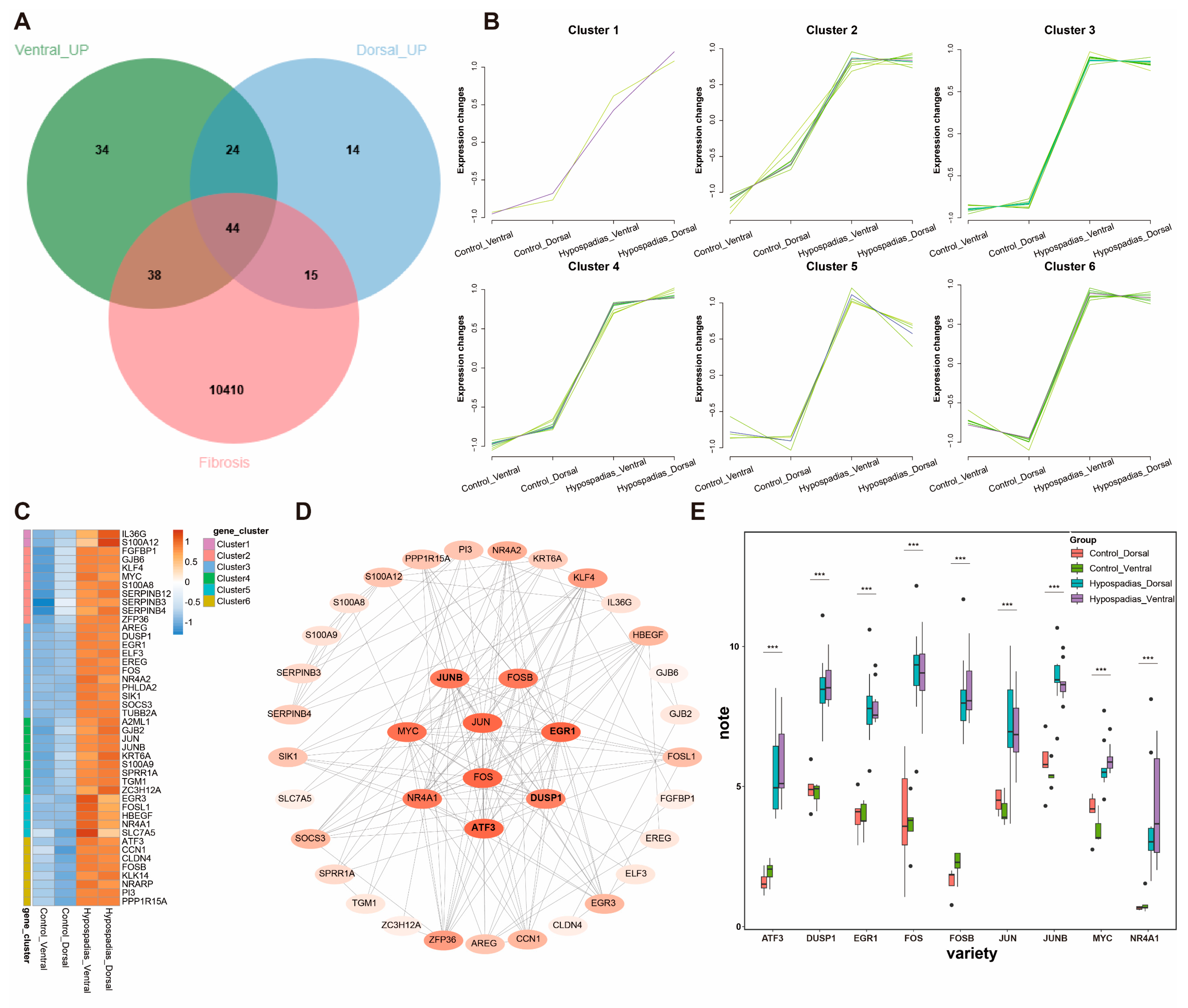 Biomedicines 13 02786 g003