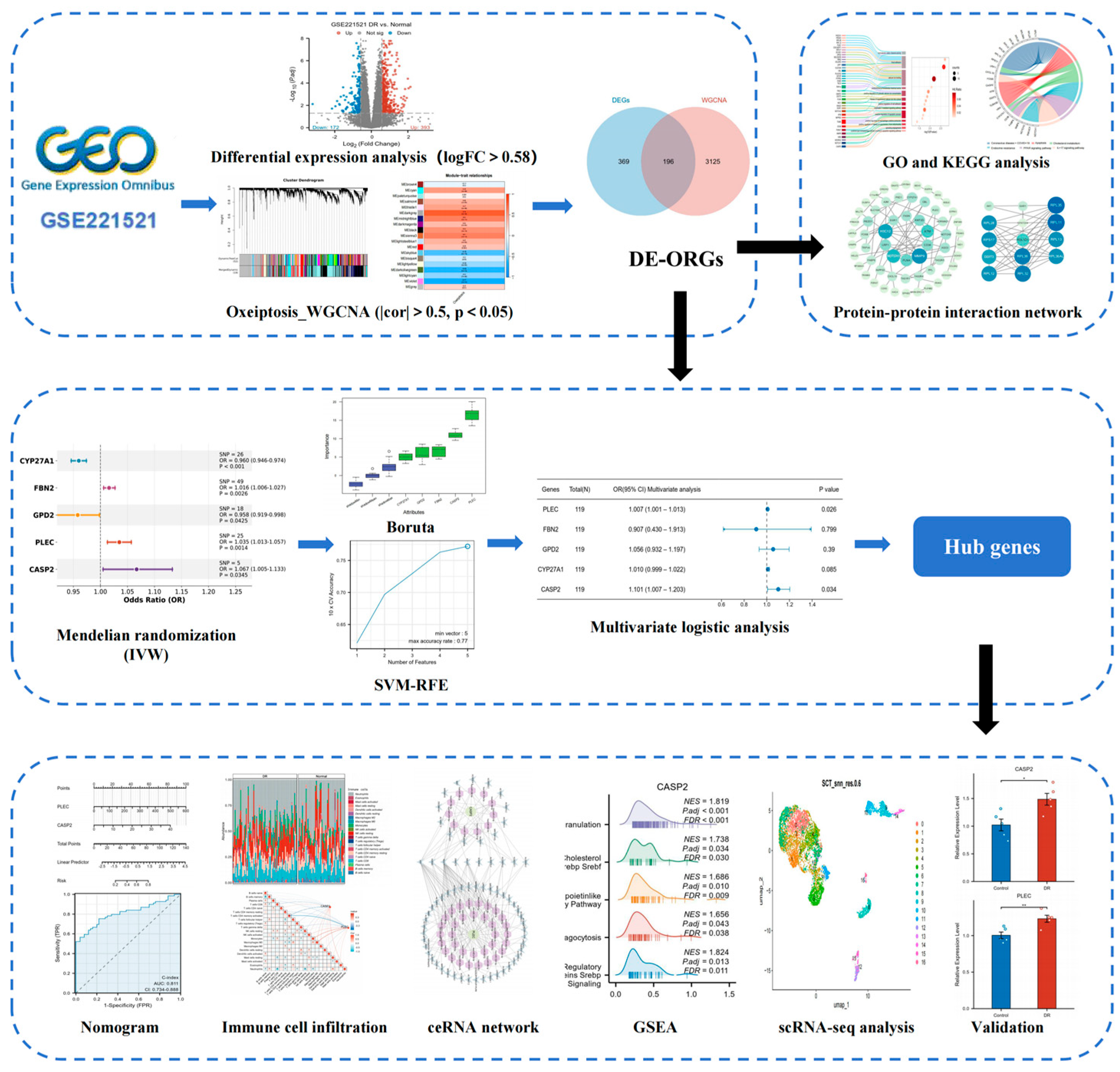 Biomedicines 13 02789 g001 Biomedicines 13 02789 g001