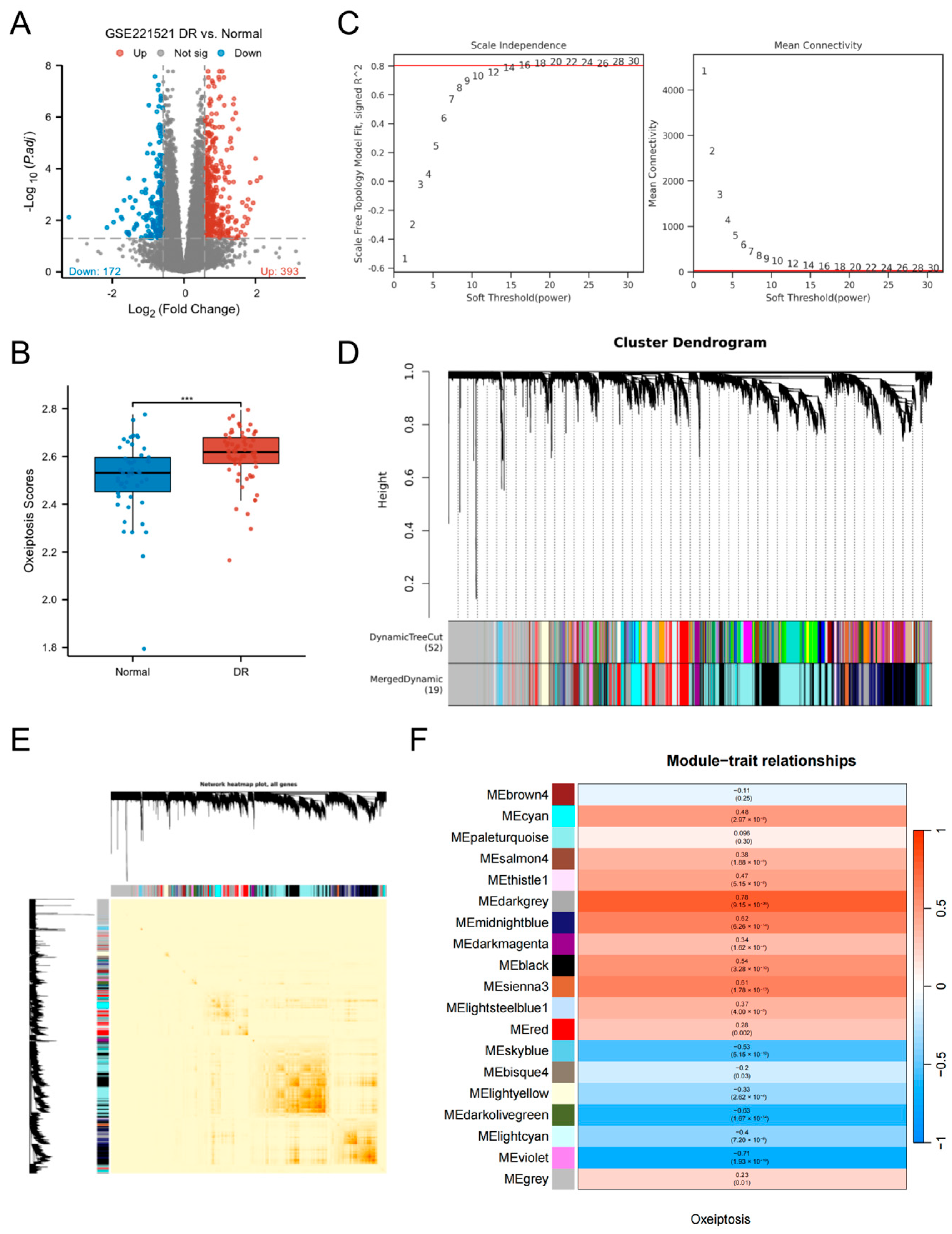 Biomedicines 13 02789 g002 Biomedicines 13 02789 g002