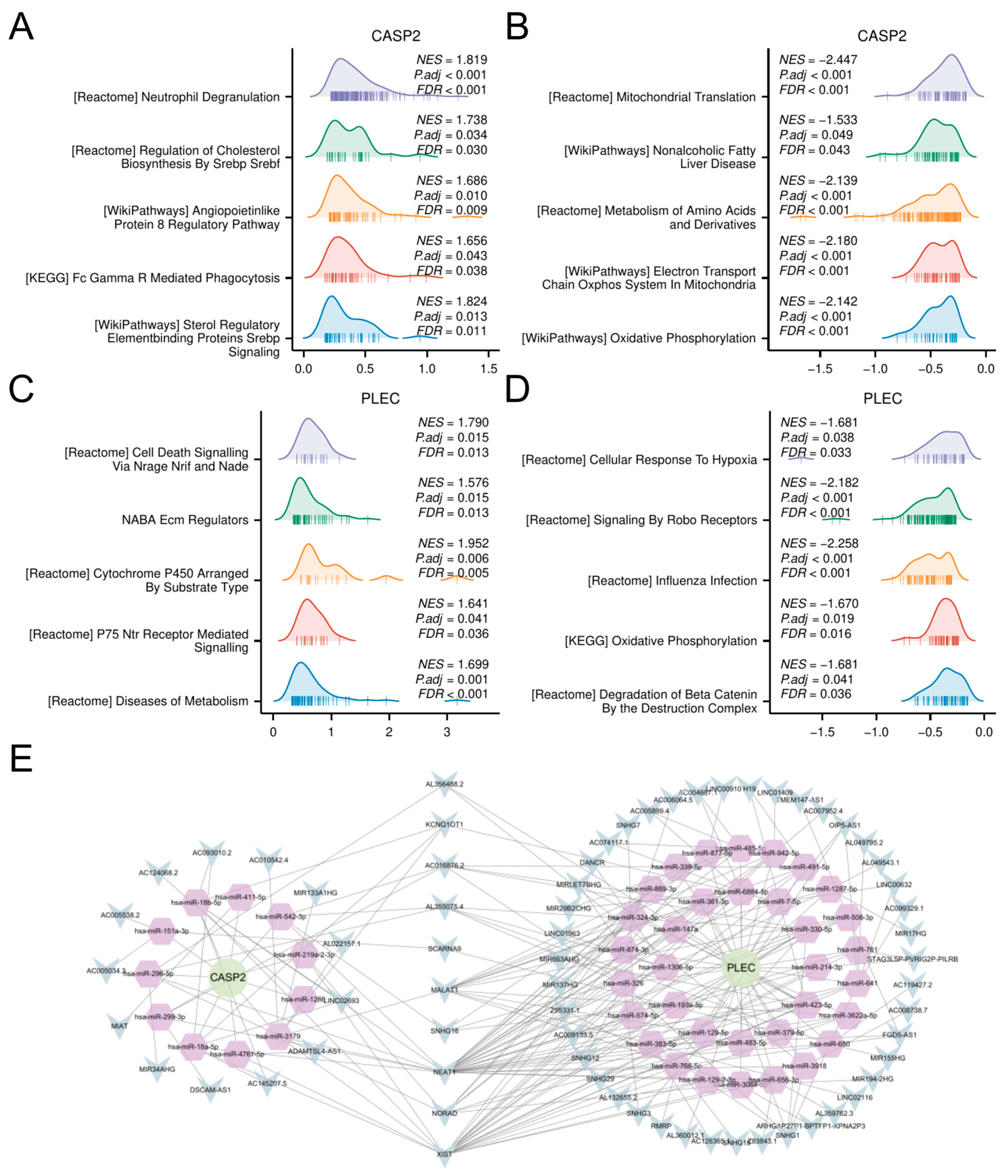 Biomedicines 13 02789 g006 Biomedicines 13 02789 g006