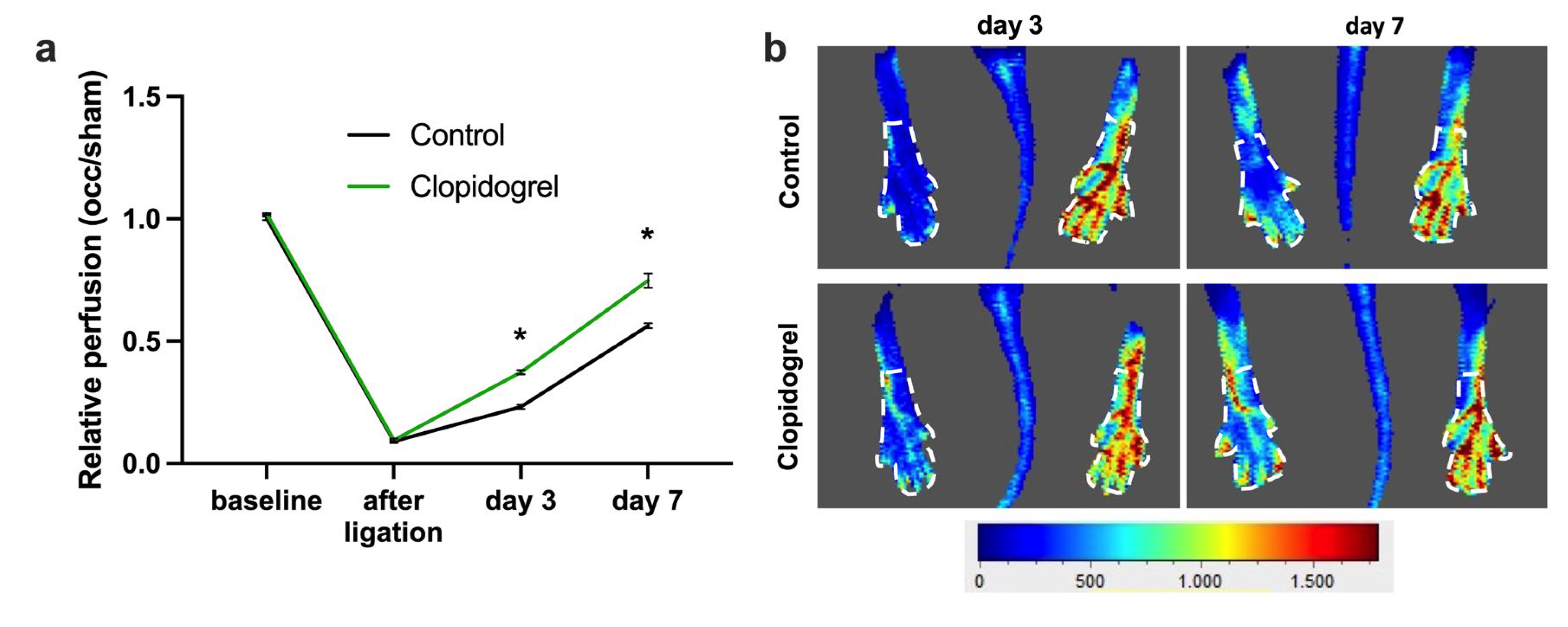 Biomedicines 13 02790 g001