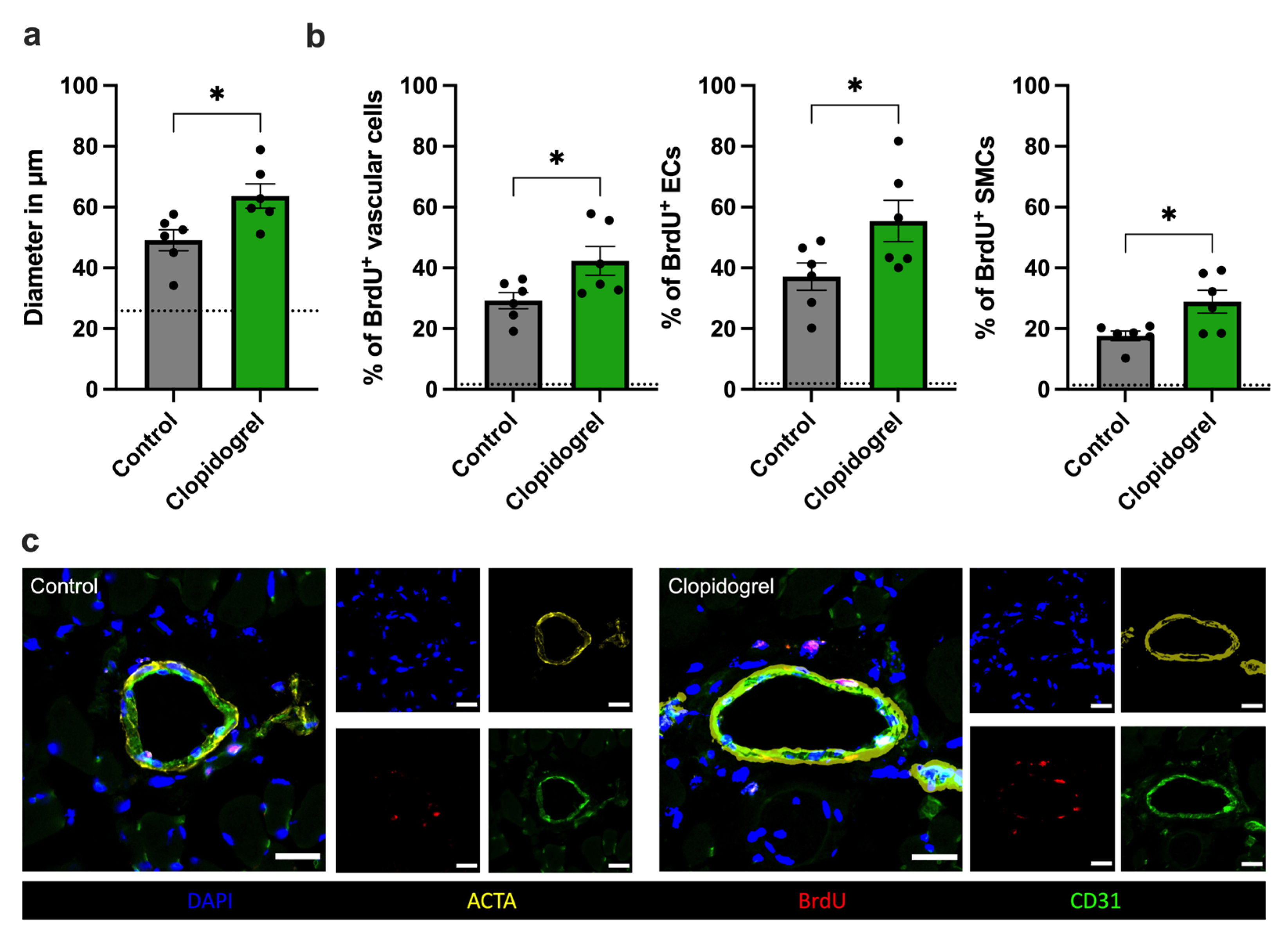 Biomedicines 13 02790 g002
