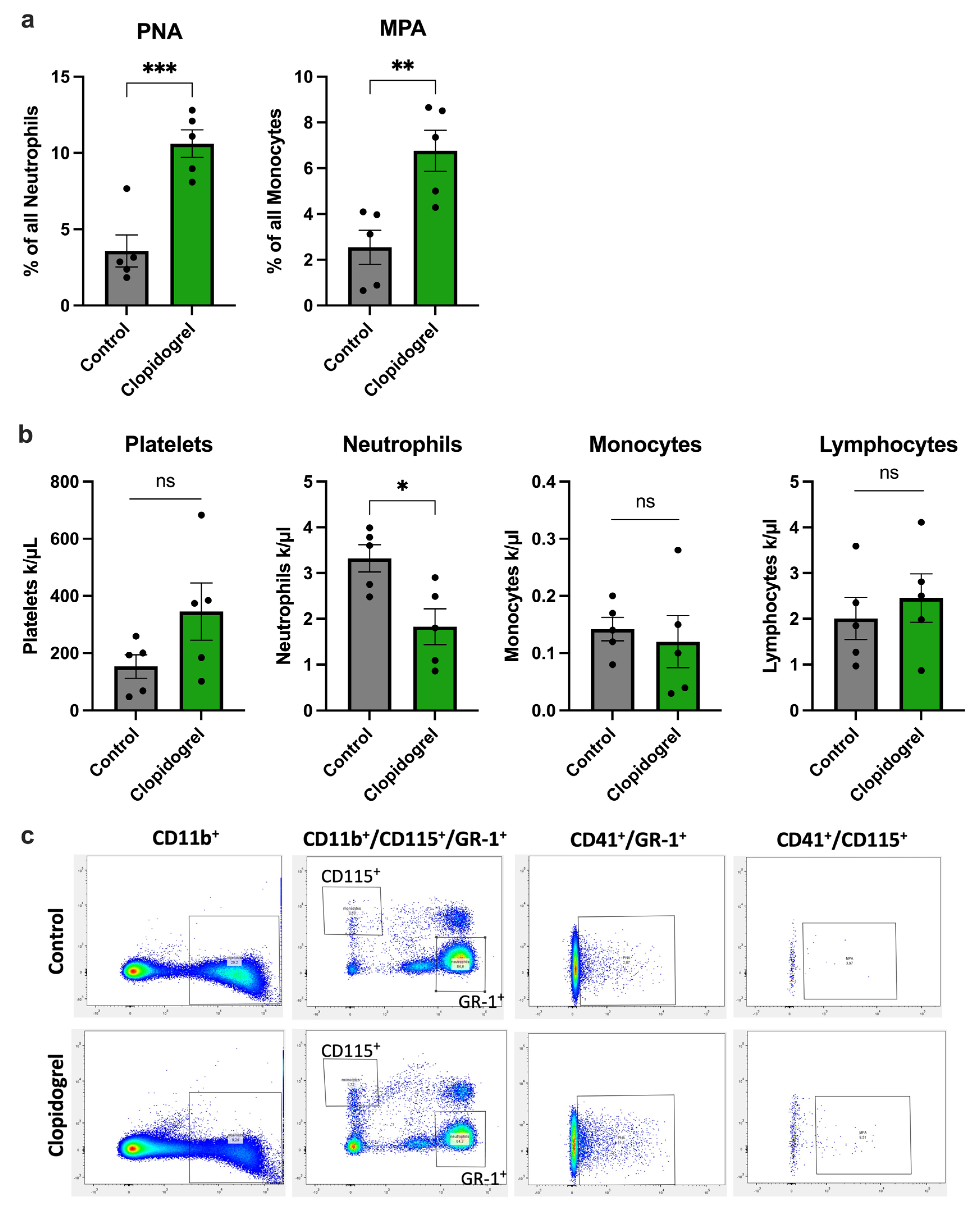 Biomedicines 13 02790 g003