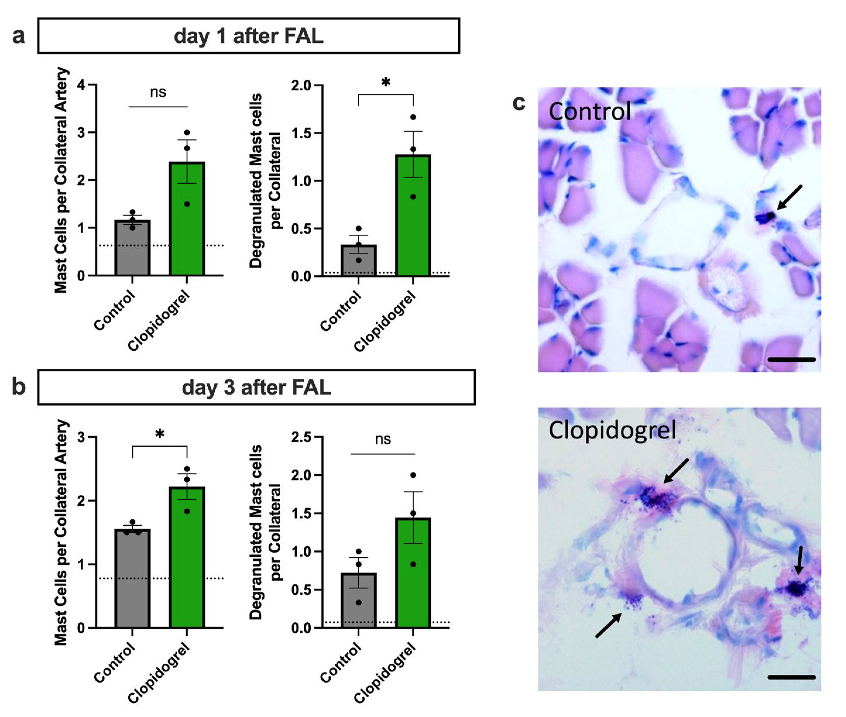 Biomedicines 13 02790 g004