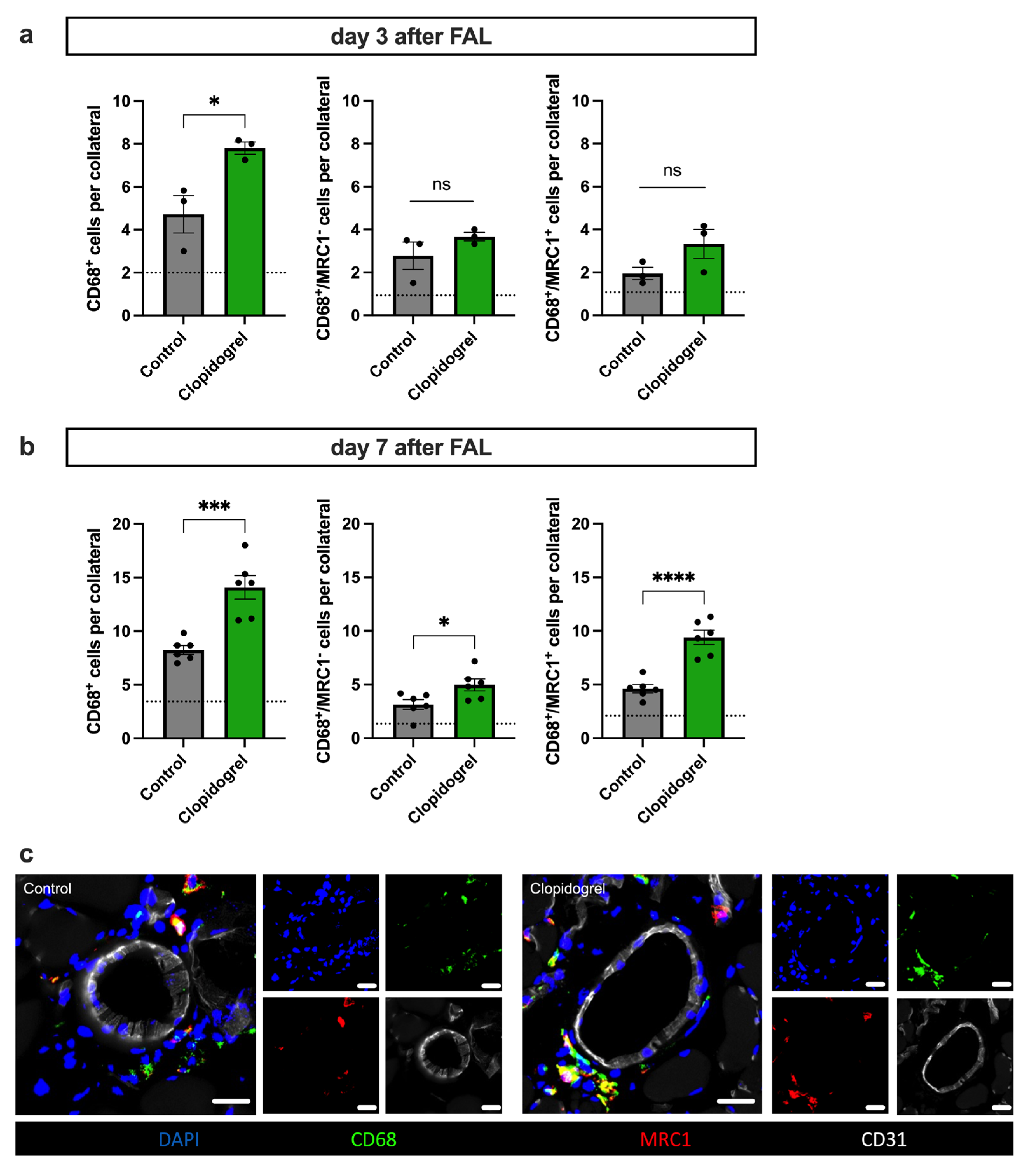 Biomedicines 13 02790 g005
