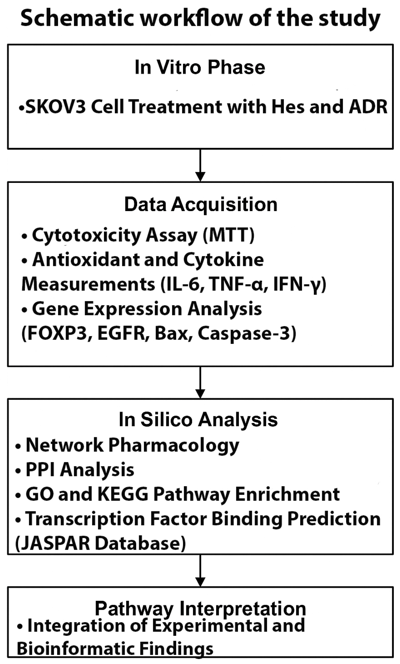 Biomedicines 13 02798 g001